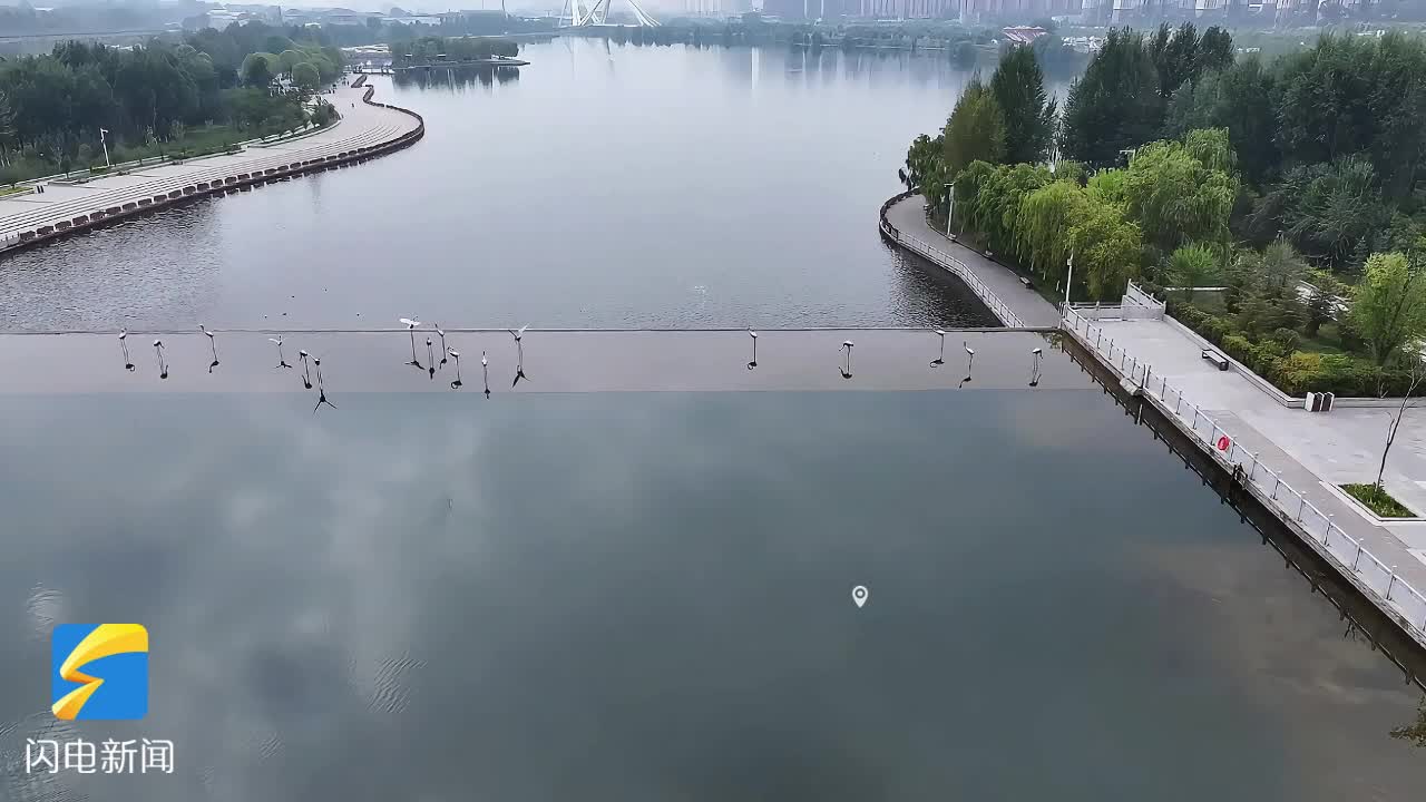 黃河Walk｜解鎖雪豹魅力 漫游河湟西寧