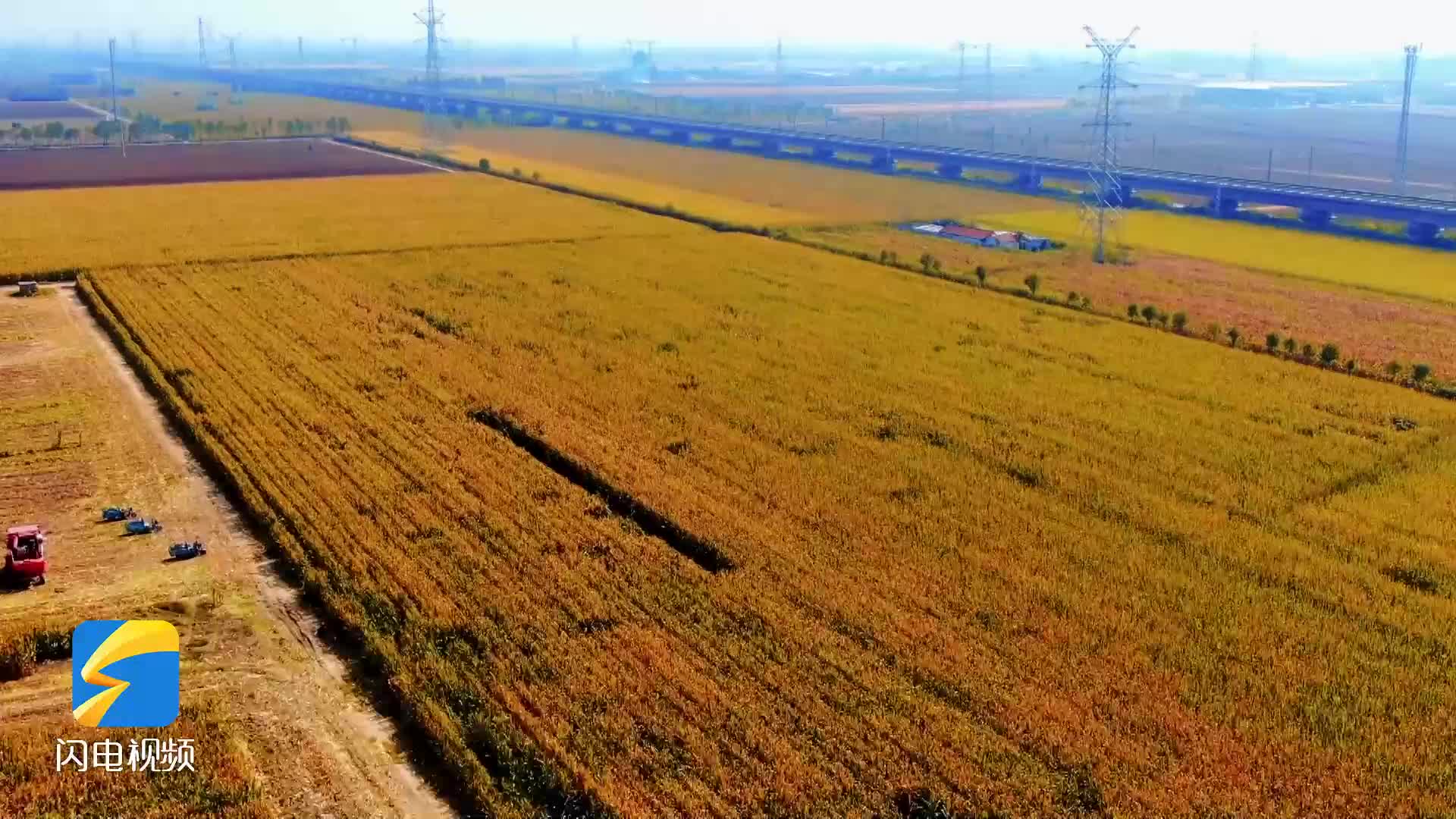又是一年好“丰”光 淄博高新区1026台农业机械上阵秋收