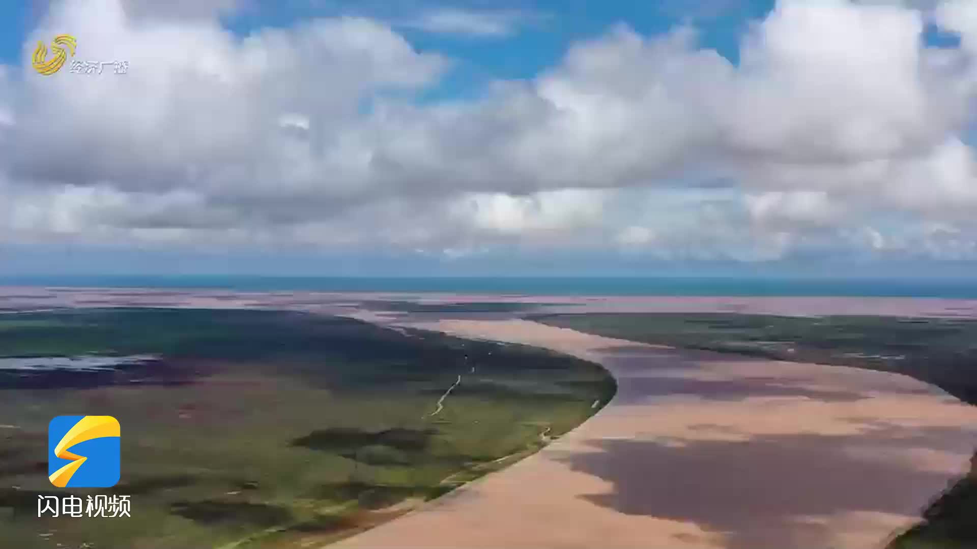 從鹽堿地到世界自然遺產地　黃河口生態文化拔節生長