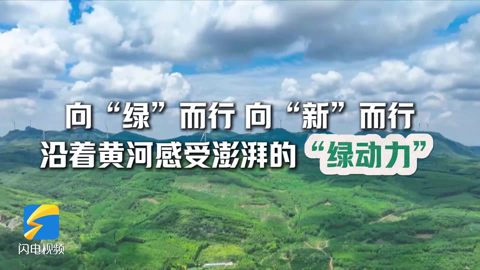 大省挑大梁·綠色先行｜在山東 沿著黃河感受澎湃的“綠動力”