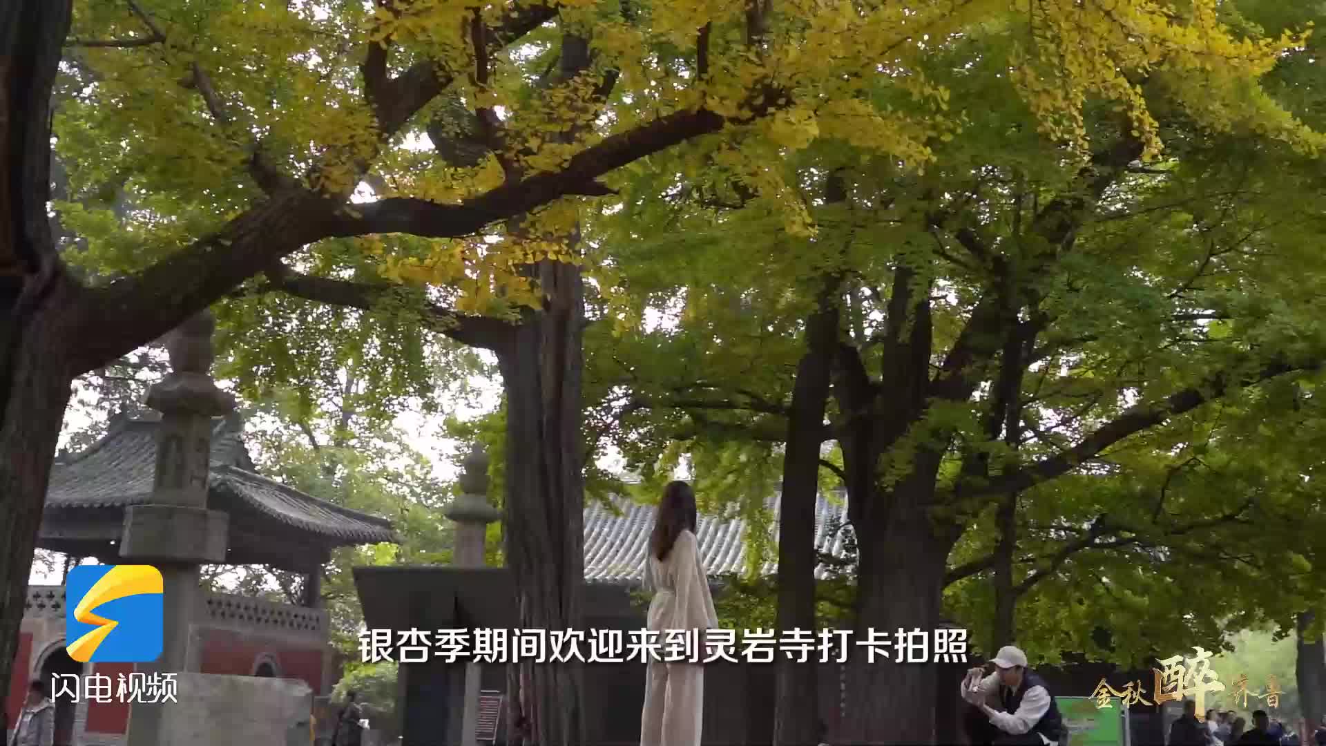 金秋醉齊魯｜去靈巖寺 赴一場金色邀約