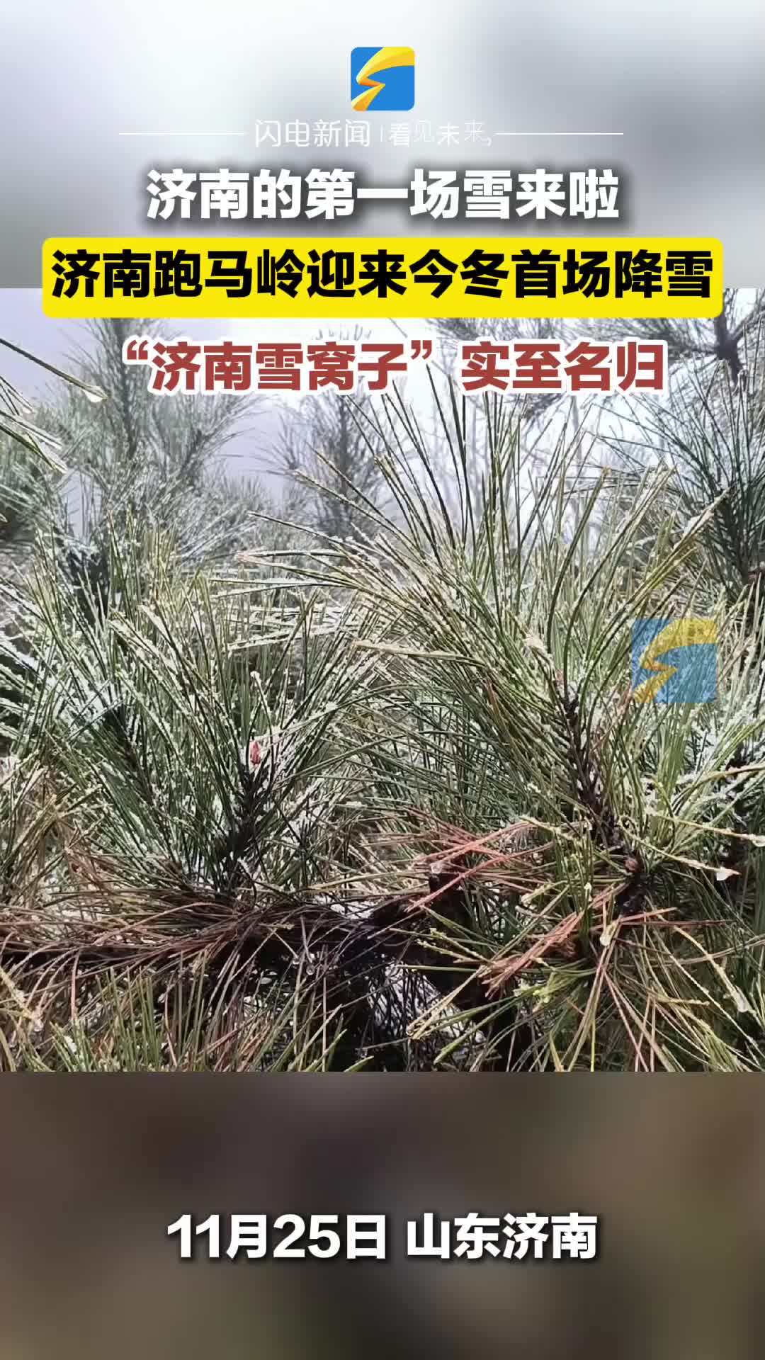 外国网红看海南｜英国博主哈维探访琼中百花岭深山秘境 体验大自然的鬼斧神工