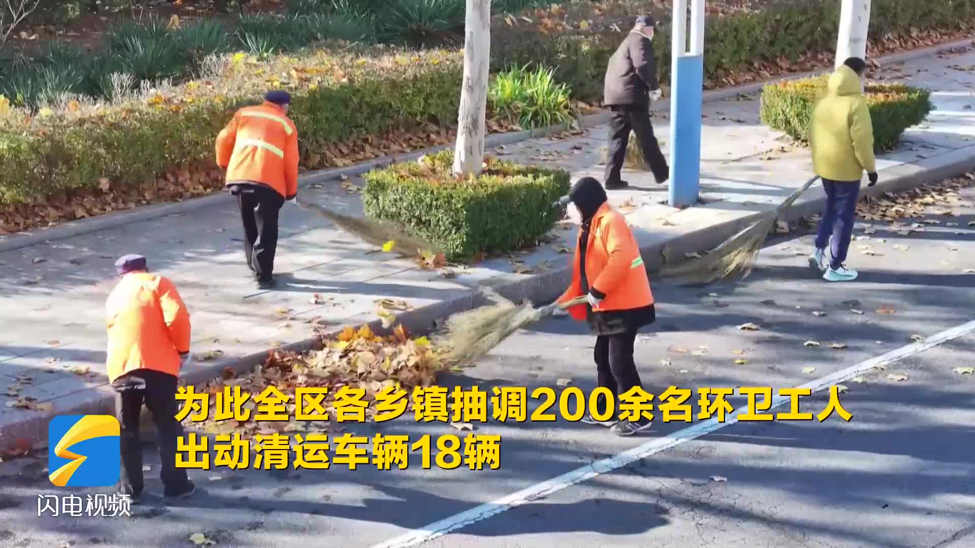 沾化：氣溫驟降落葉多 環衛工人清掃忙