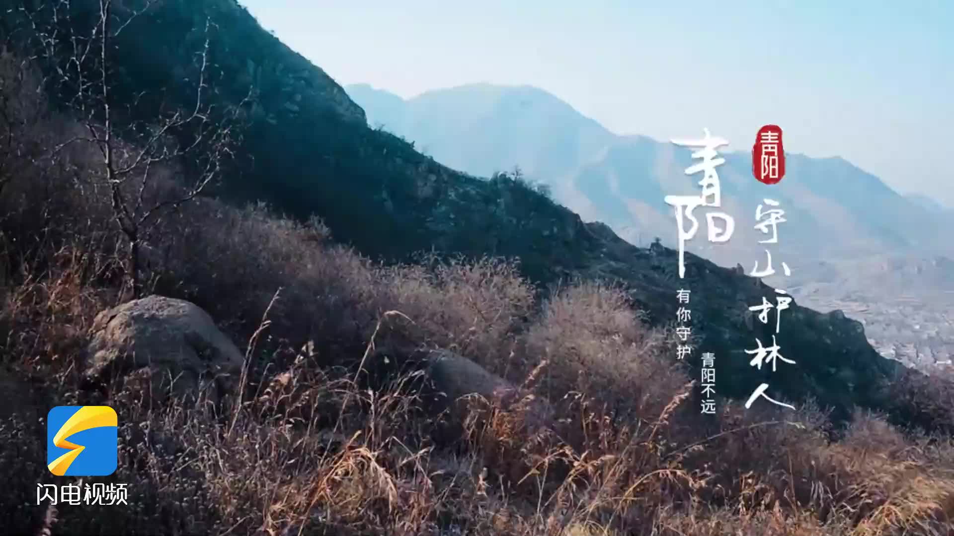 鄒平：微型紀錄片《青陽守山護林人》