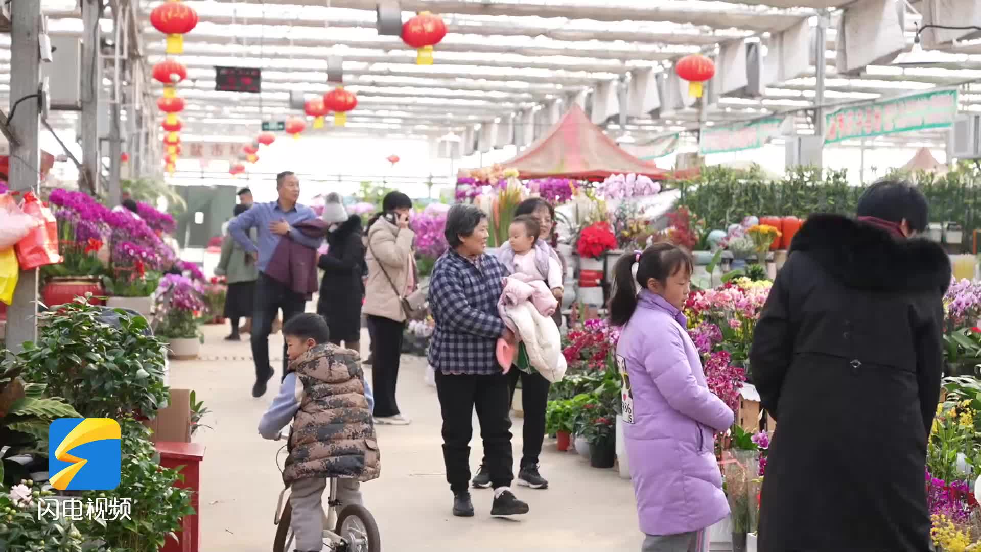 济宁任城：扮靓生活迎新春 鲜花朵朵年味浓