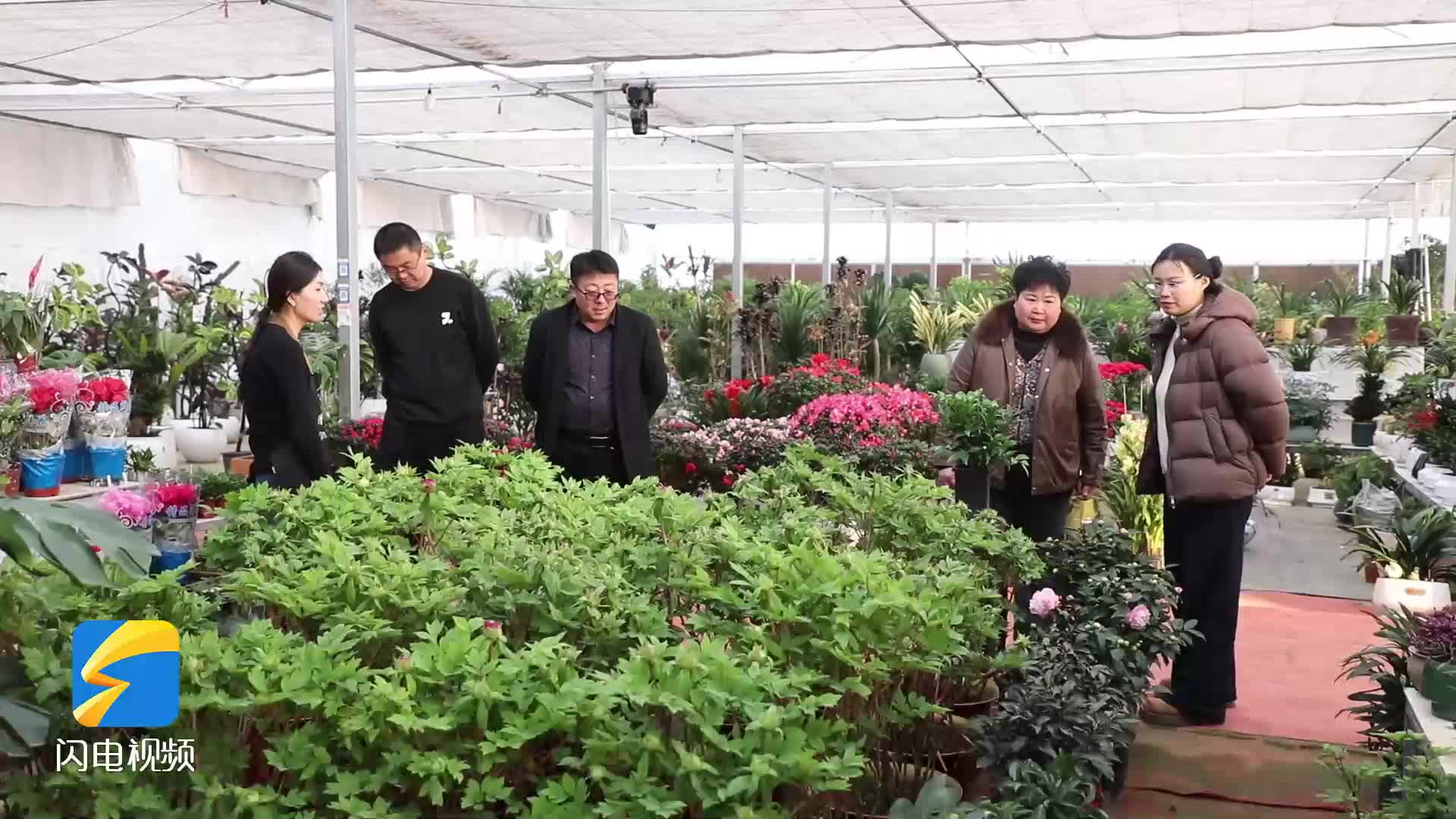 郓城：年宵花销售旺 新春氛围浓
