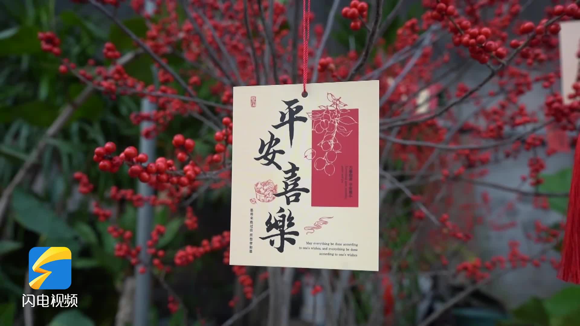 濱州陽信：春節前夕 “花經濟”綻放新活力
