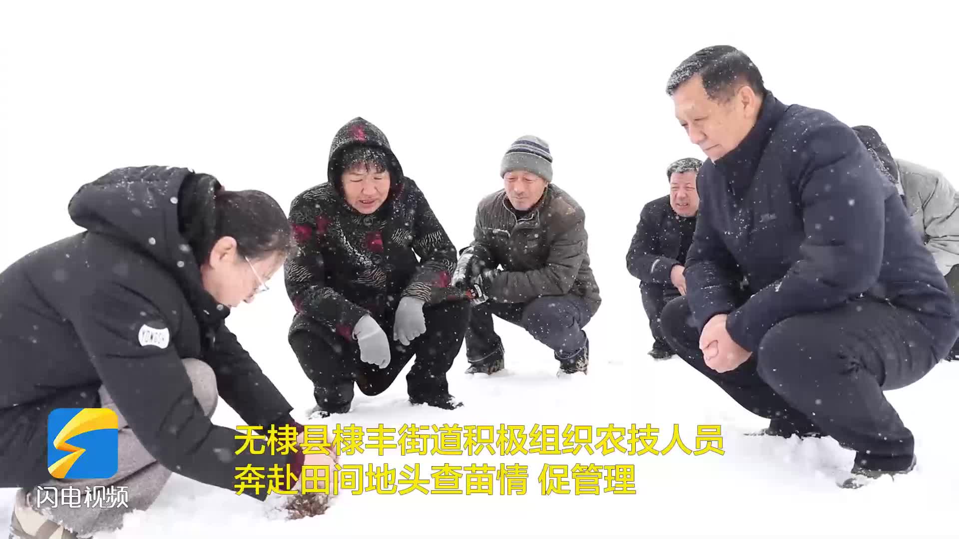 無棣：農技服務到地頭 防寒防凍保豐收