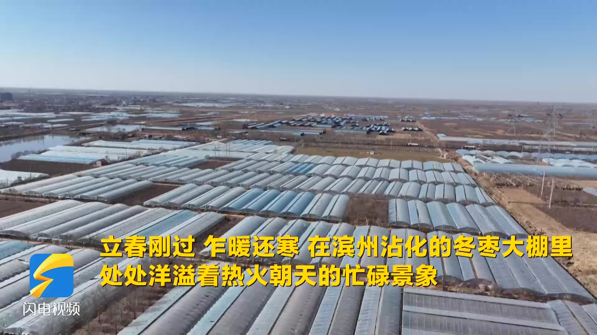 濱州沾化：春寒料峭大棚暖 人勤春早備耕忙