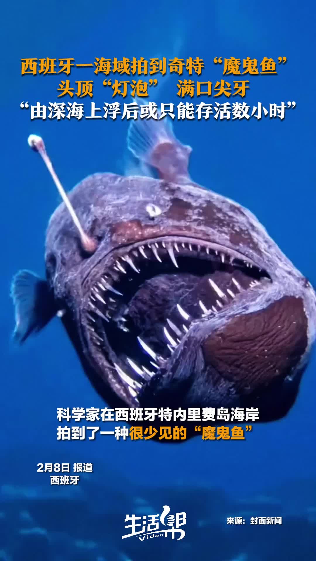 西班牙一海域拍到奇特"魔鬼鱼"