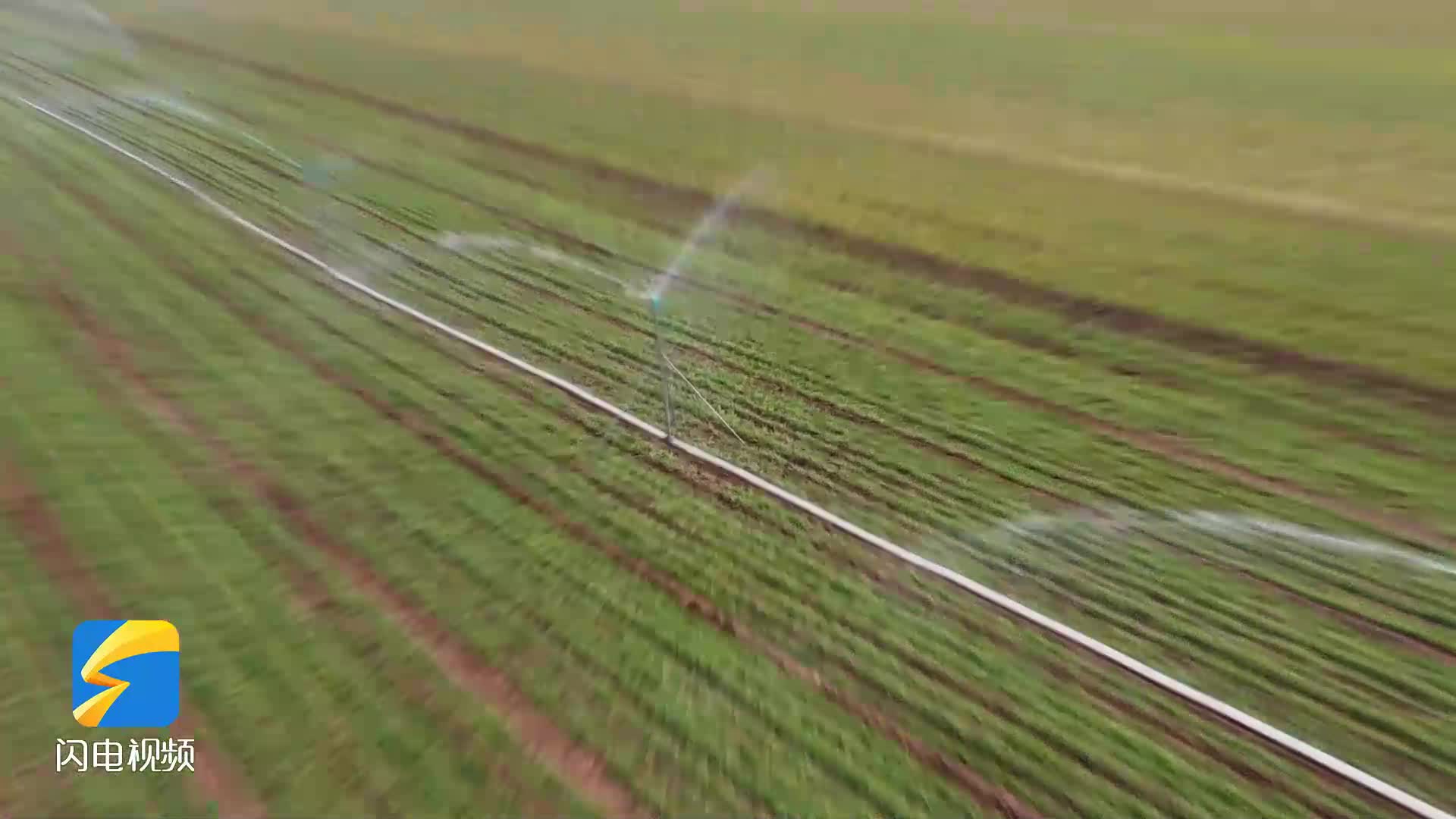 邹城：智能喷灌“润”春耕 科技赋能稳粮仓