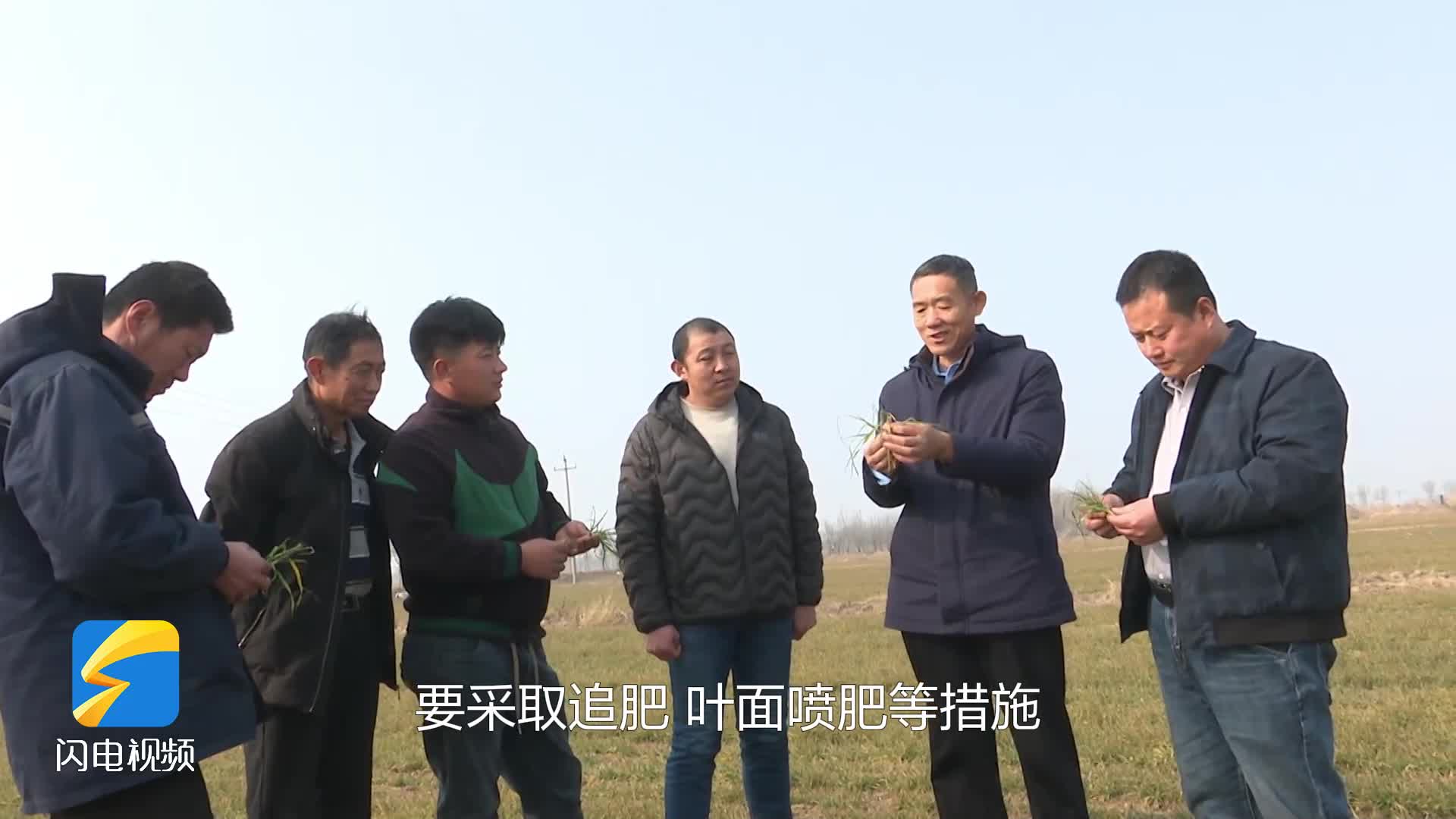 無棣：應對寒潮影響?護航農業生產?