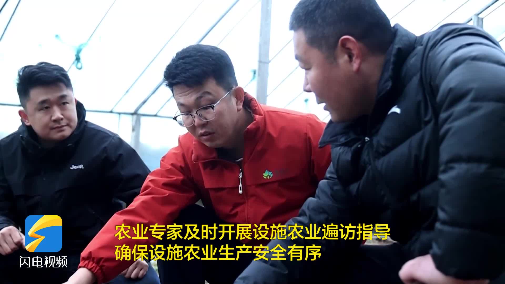 無棣：加強農業指導力度?確保設施農業安全生產
