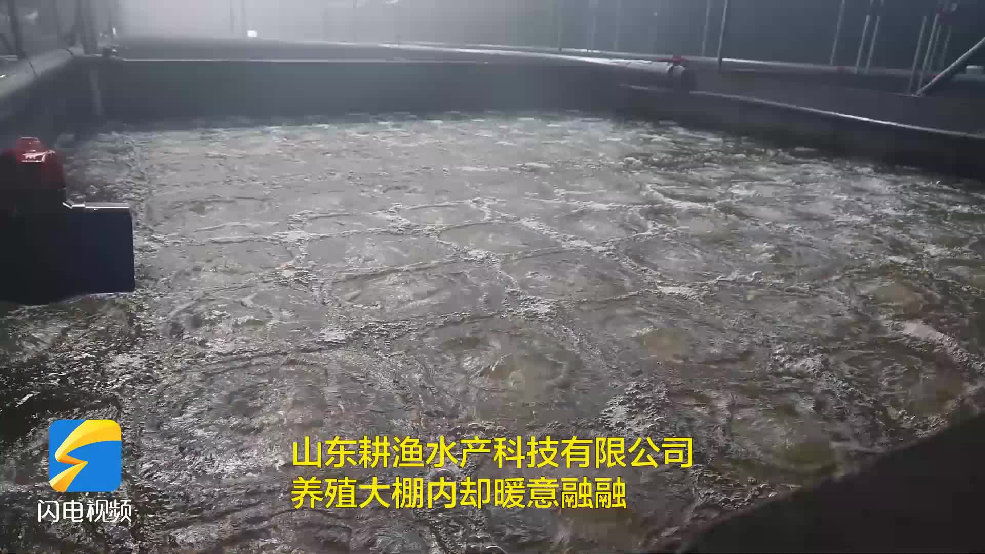 無棣：春潮涌動“棚”勃生機 智慧溫棚破解漁業(yè)季節(jié)密碼