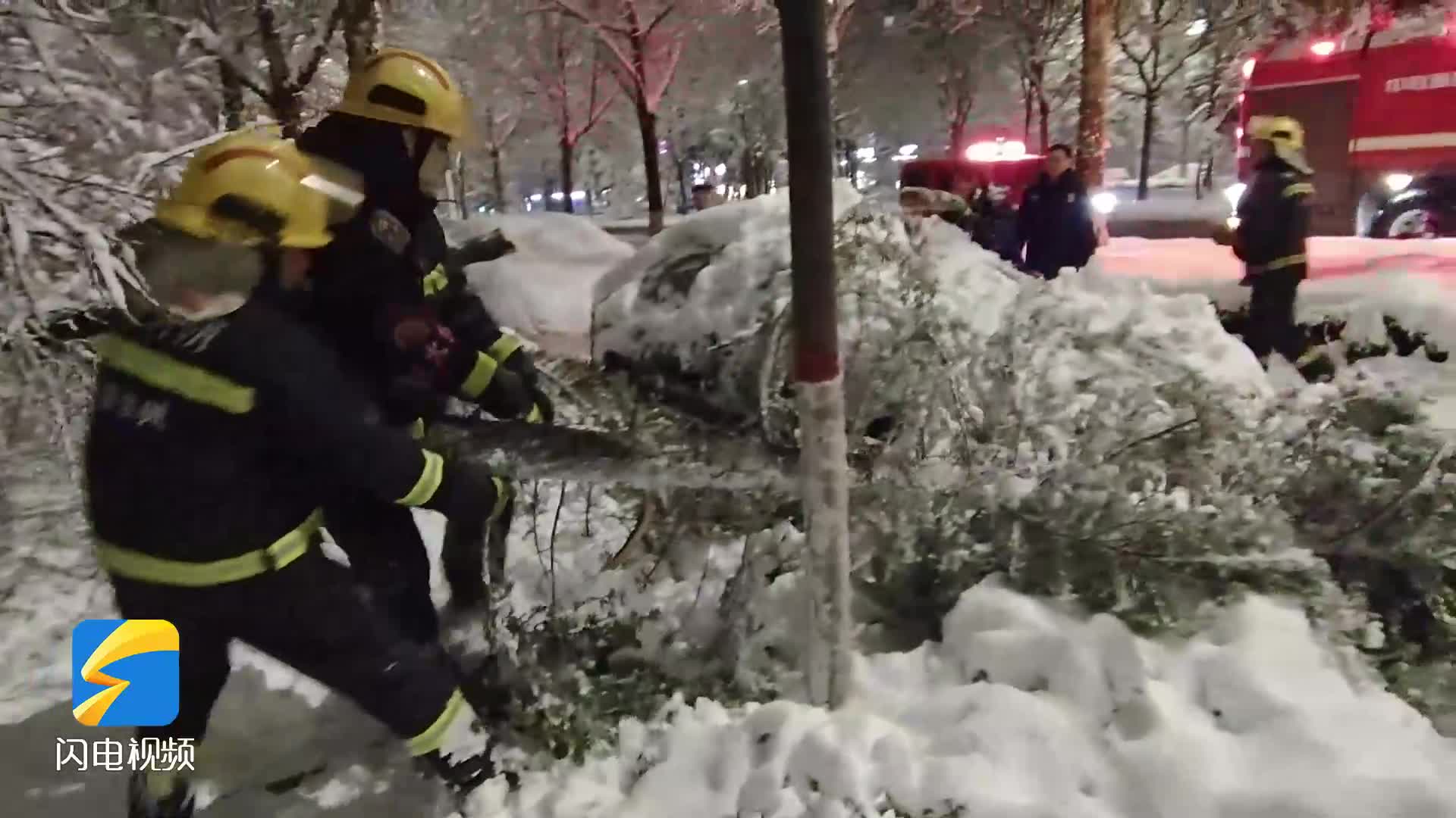 雪夜緊急救援！鄒平一車被樹壓倒 無人員受傷