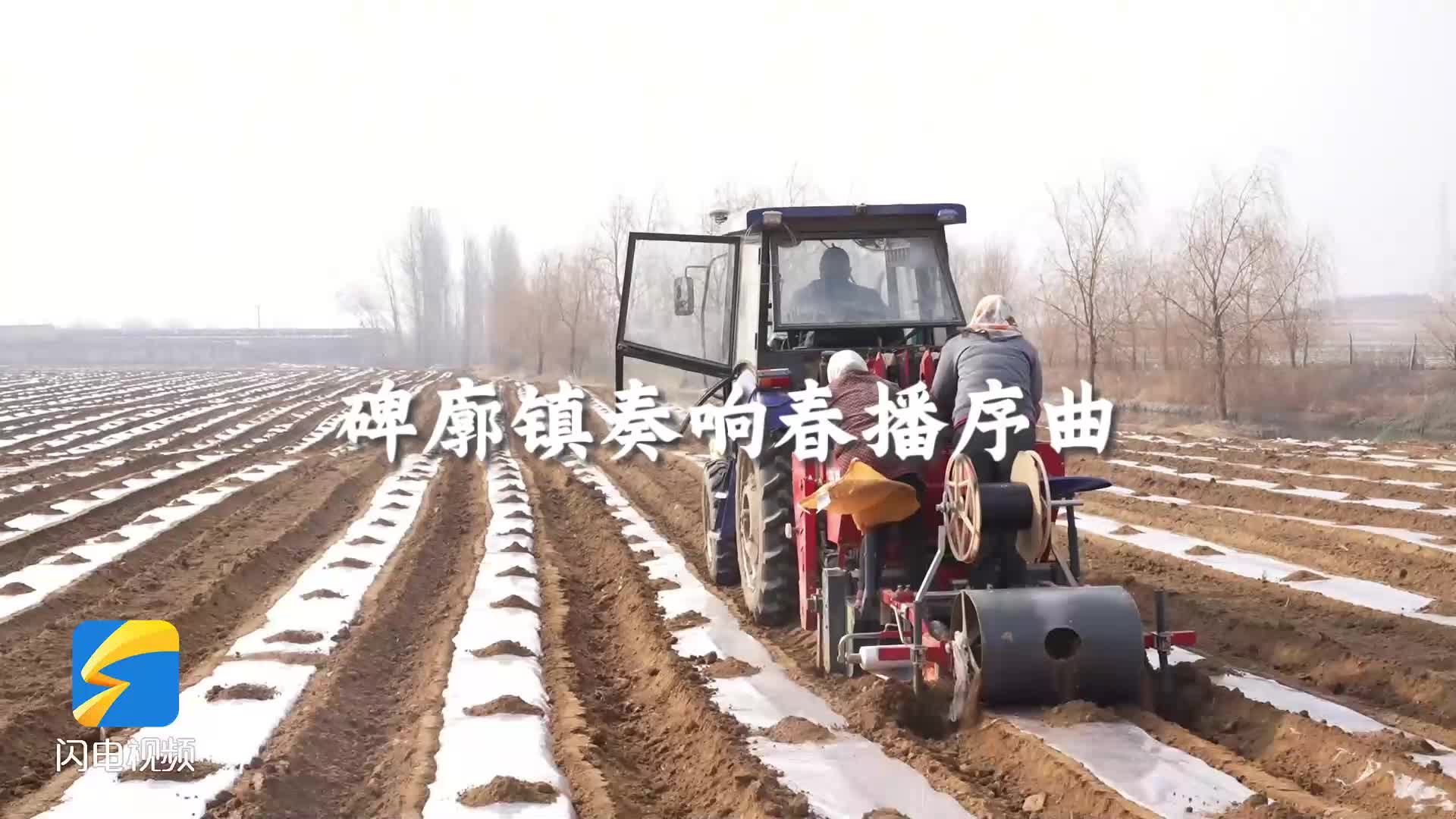 日照岚山：碑廓镇奏响春播序曲