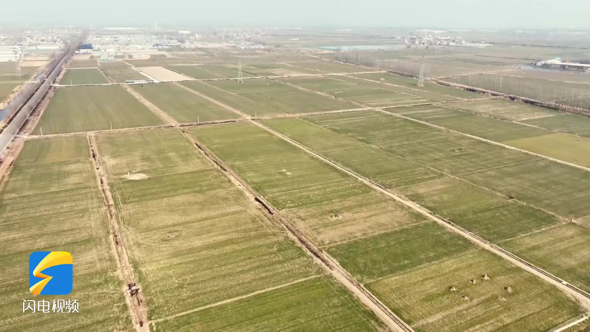 济宁鱼台40万亩小麦返青 农技专家田间指导稳产增收