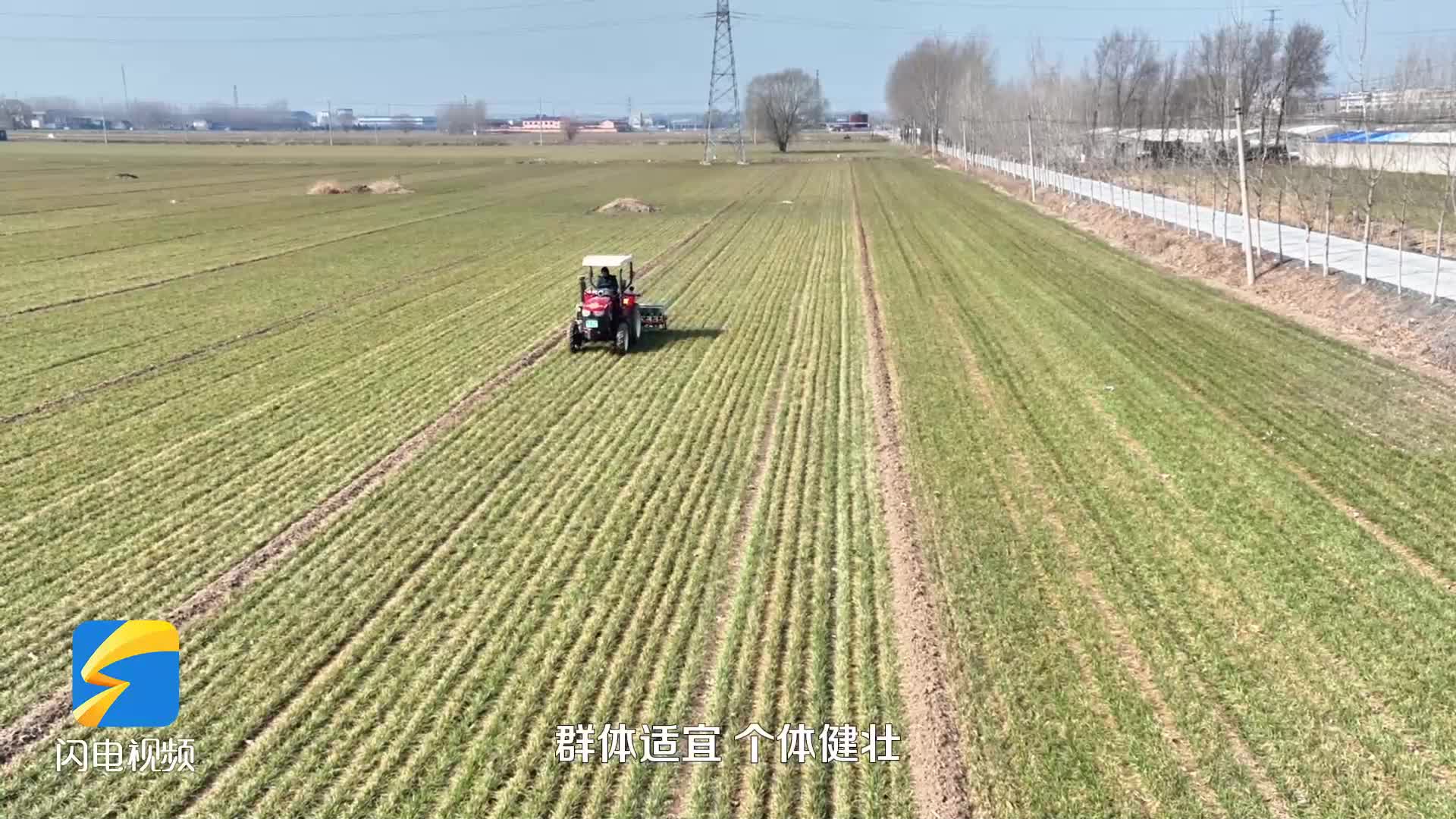 ​济宁微山：春管正当时 农技助力保丰收