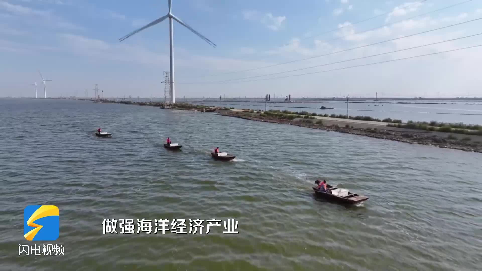 沾化：深耕藍色海洋經濟 持續向海圖強
