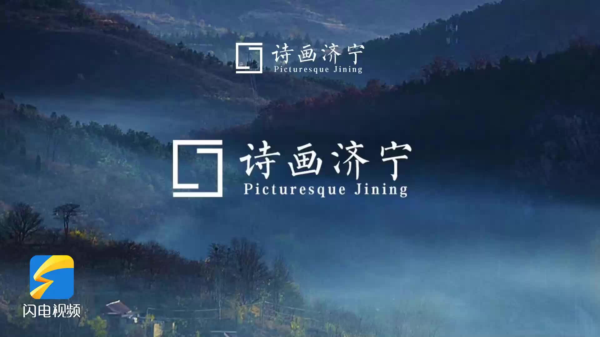 鱼台湿地春韵｜鹭影翩跹 奏响生态诗篇