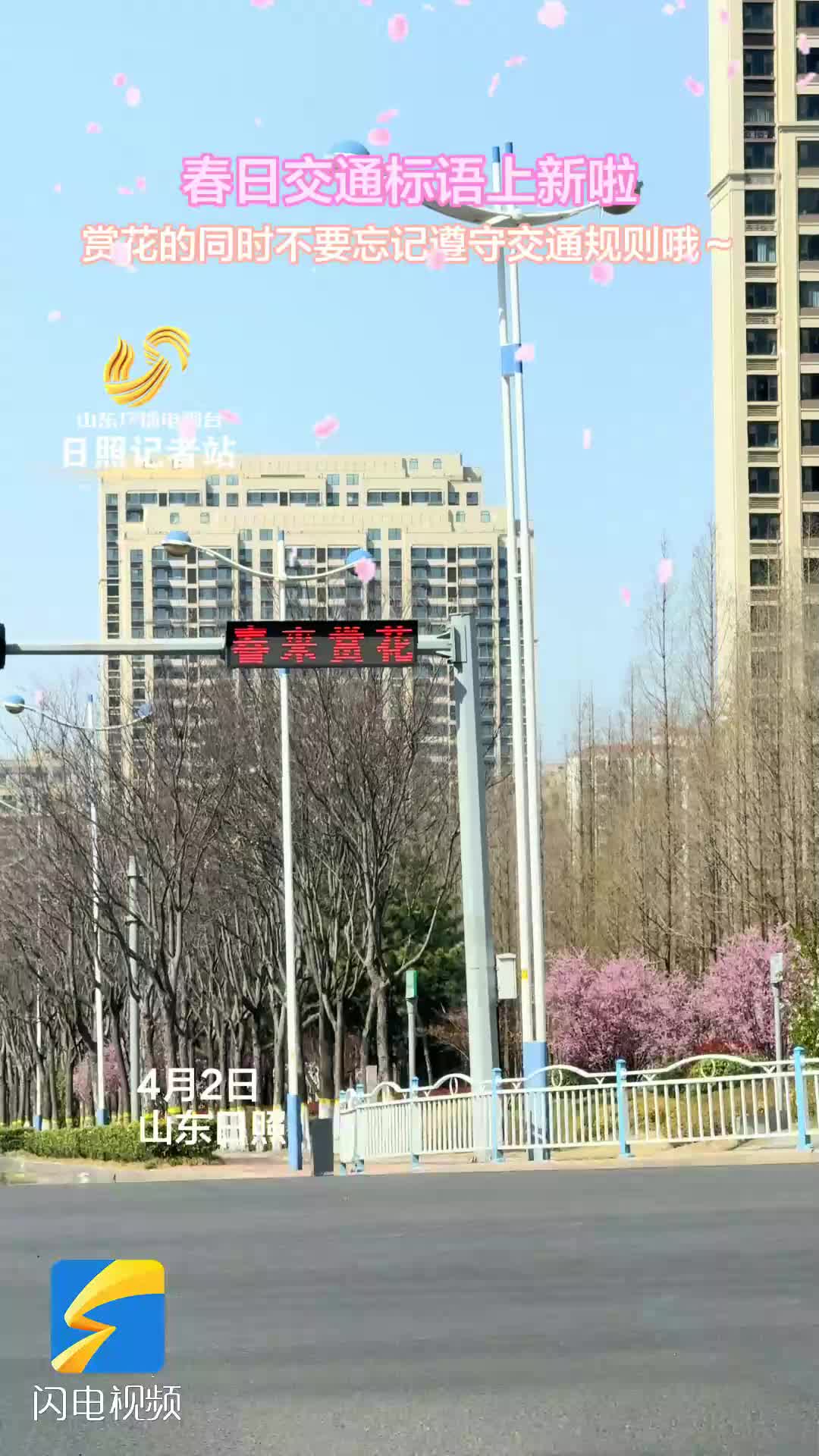 日照上新春日交通标语啦！