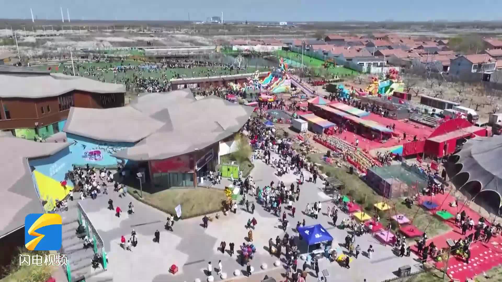 梨花盛景吸引十萬游客 陽信縣創新文旅活動助力鄉村振興