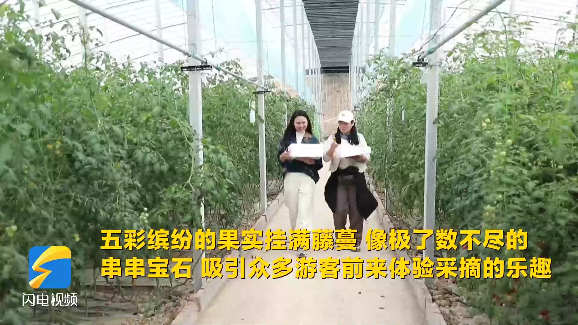 沾化：清明假期 近郊游采摘游火爆