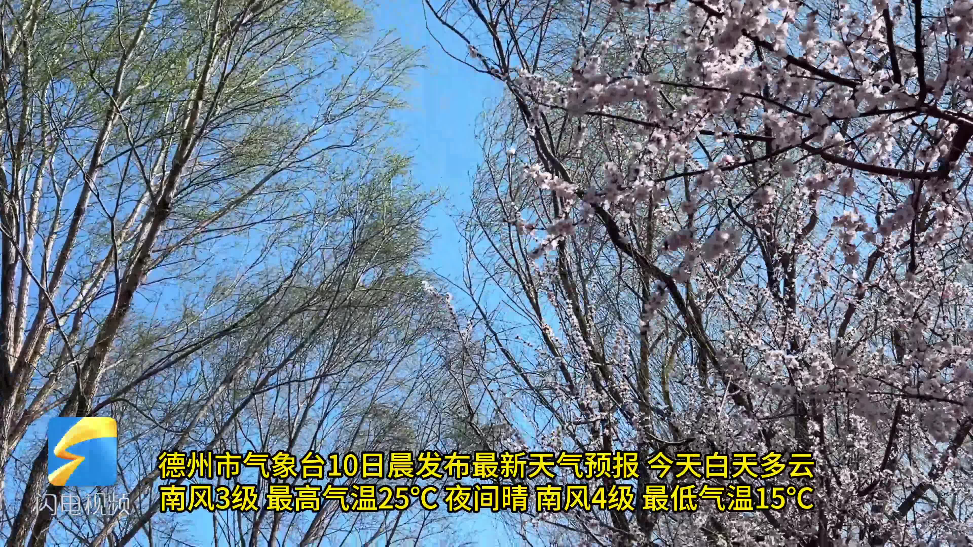 长子县天气马上知
