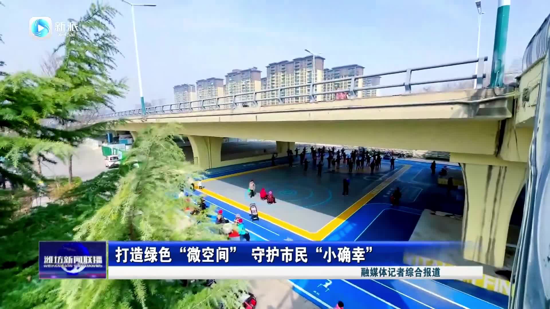 【潍坊新闻联播】打造绿色“微空间” 守护市民“小确幸”_新派网-新派客户端-潍坊市融媒体中心