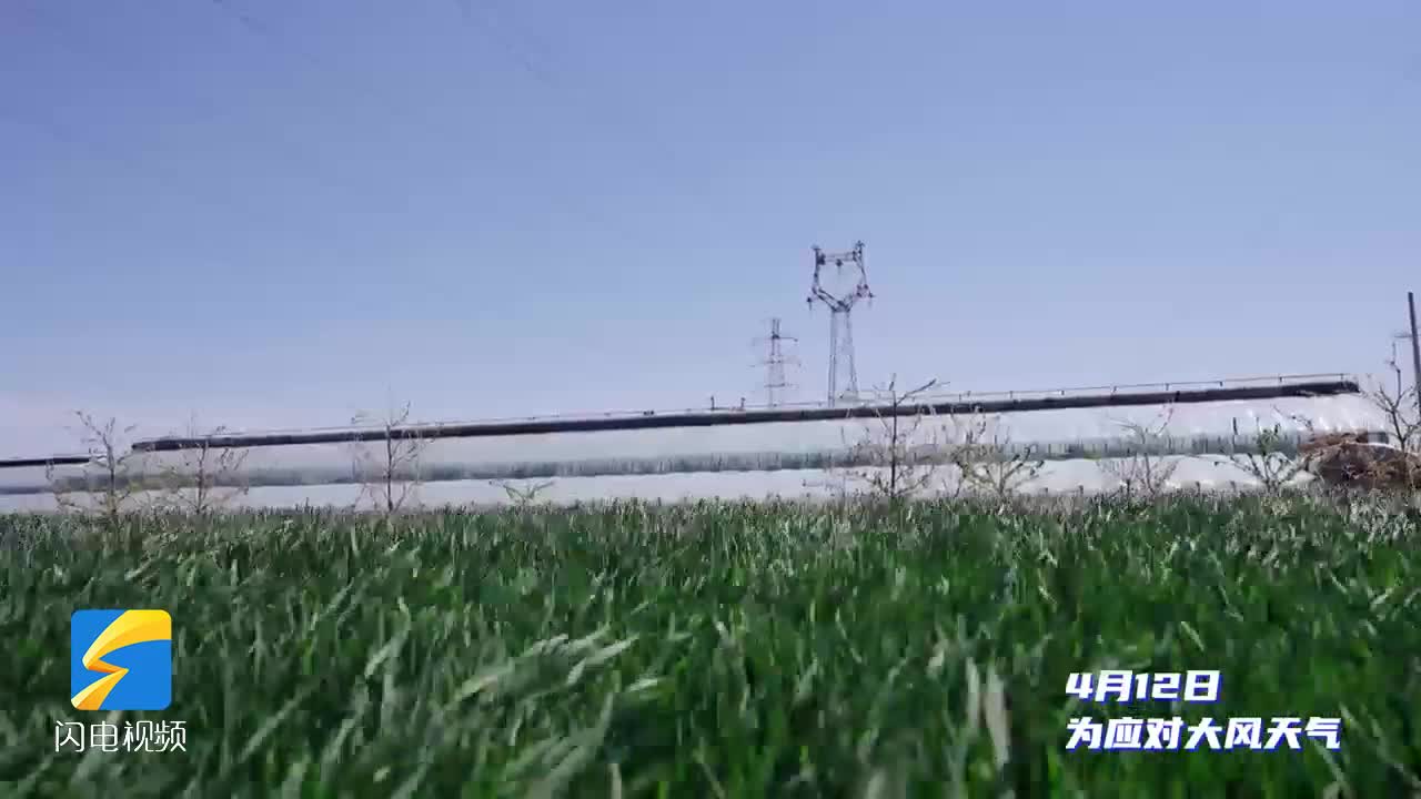 潍坊临朐：“线上+线下”全方位特巡 确保输电线路安全稳定运行