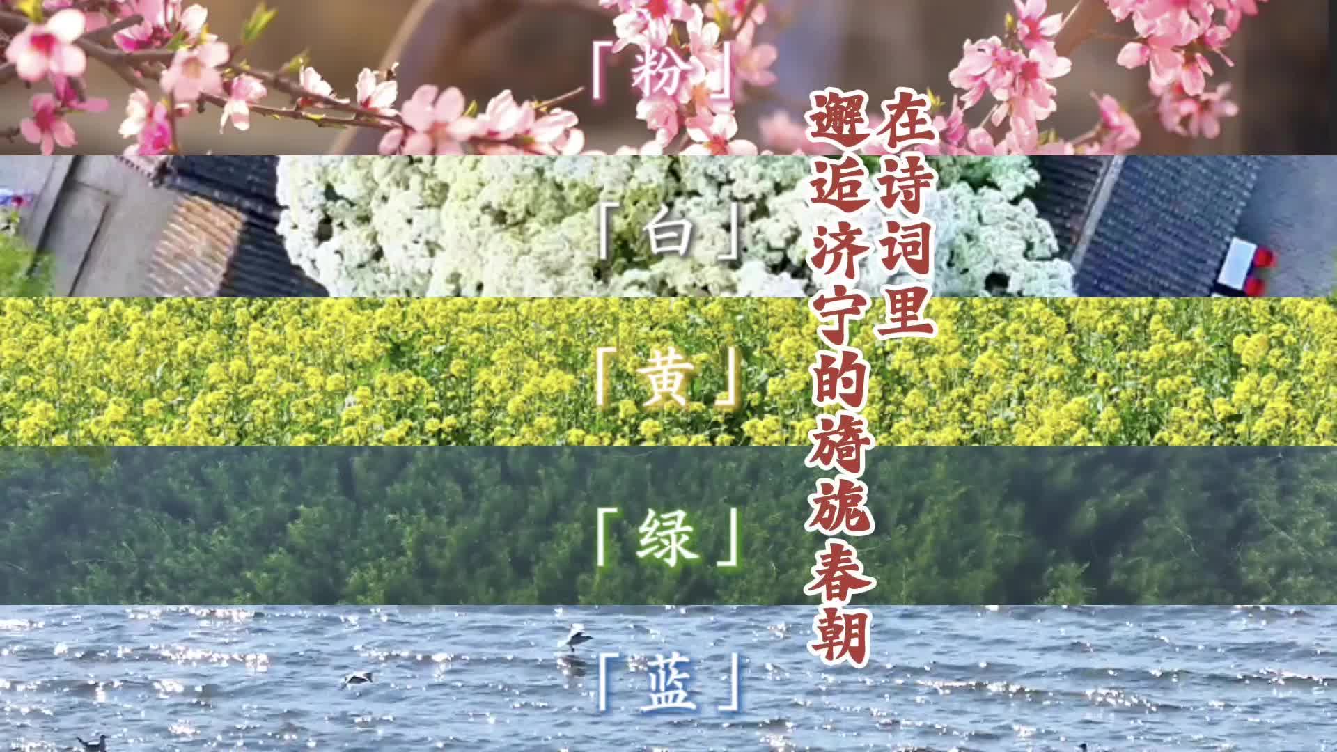 在诗词里邂逅济宁的旖旎春朝