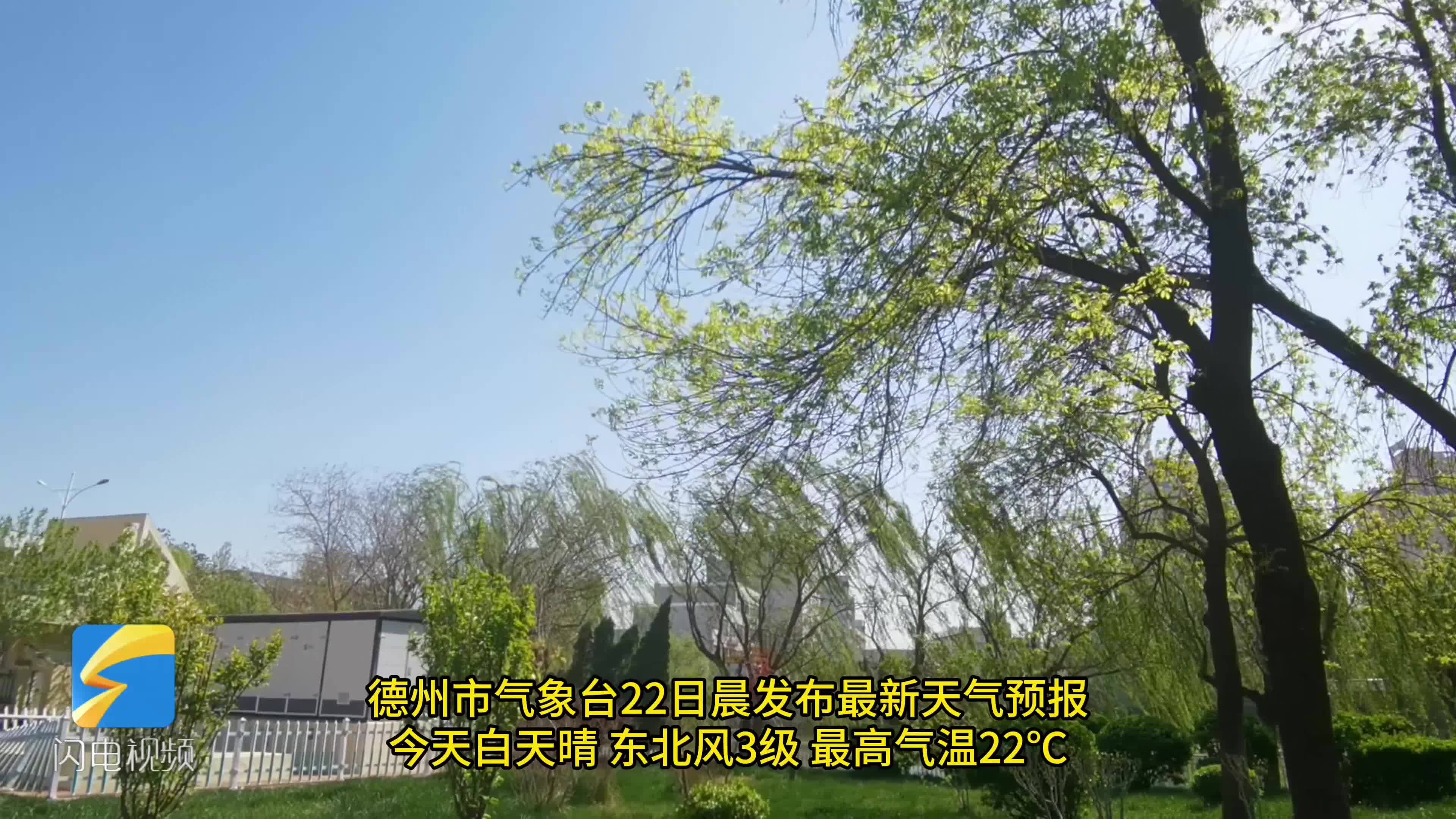 德州明天天气=德州明天天气预报视频