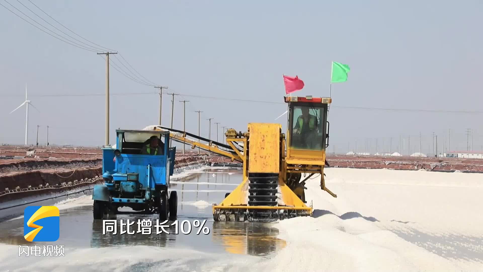 濱州沾化：40萬畝春鹽采收忙