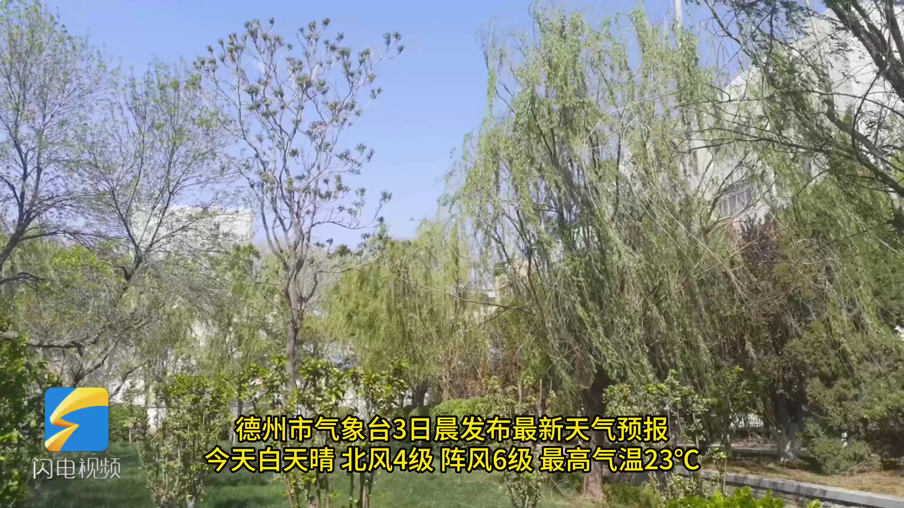 德州今天天气预报