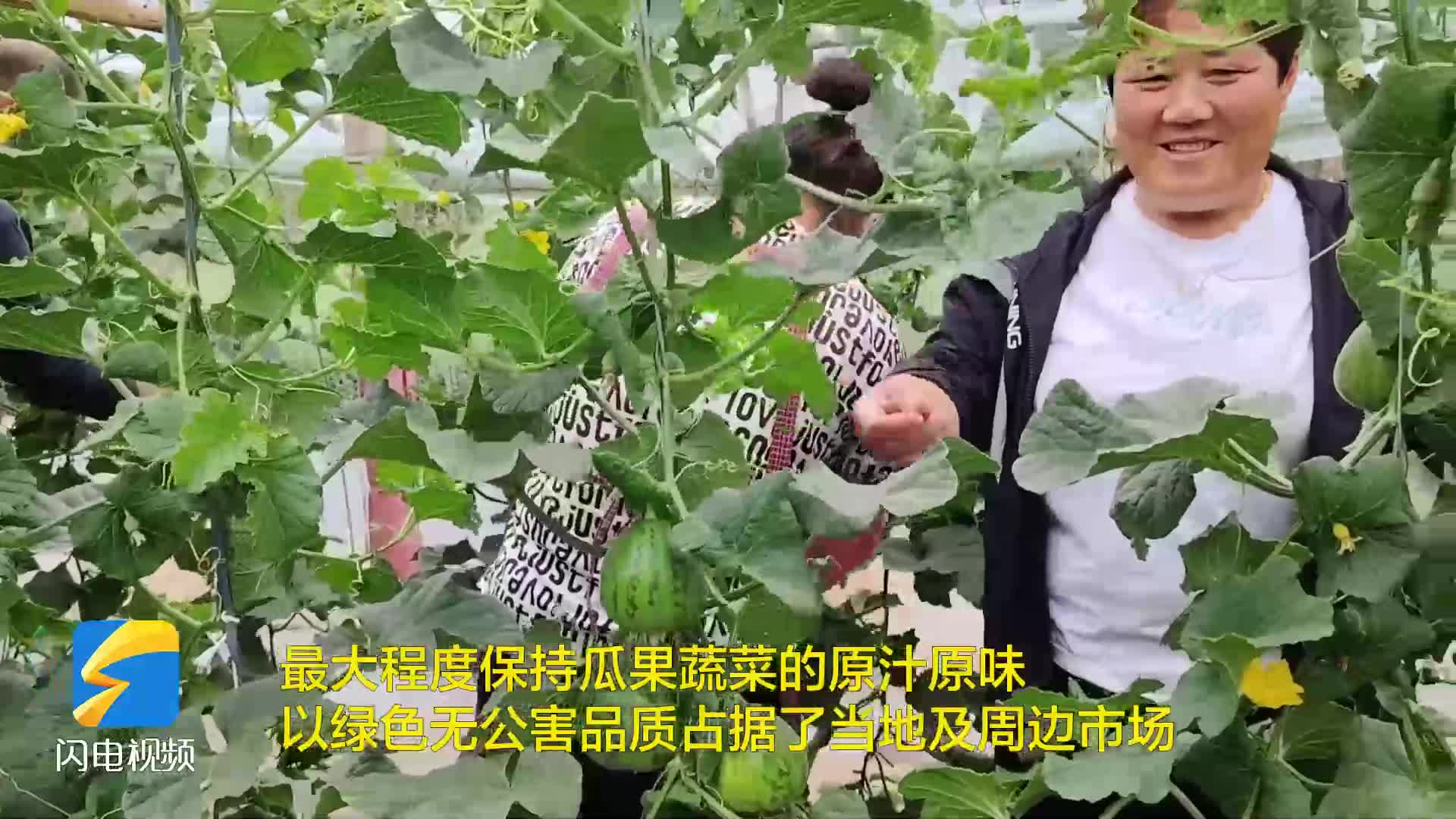 無棣：打造“綠色”品牌 賦能鄉(xiāng)村振興