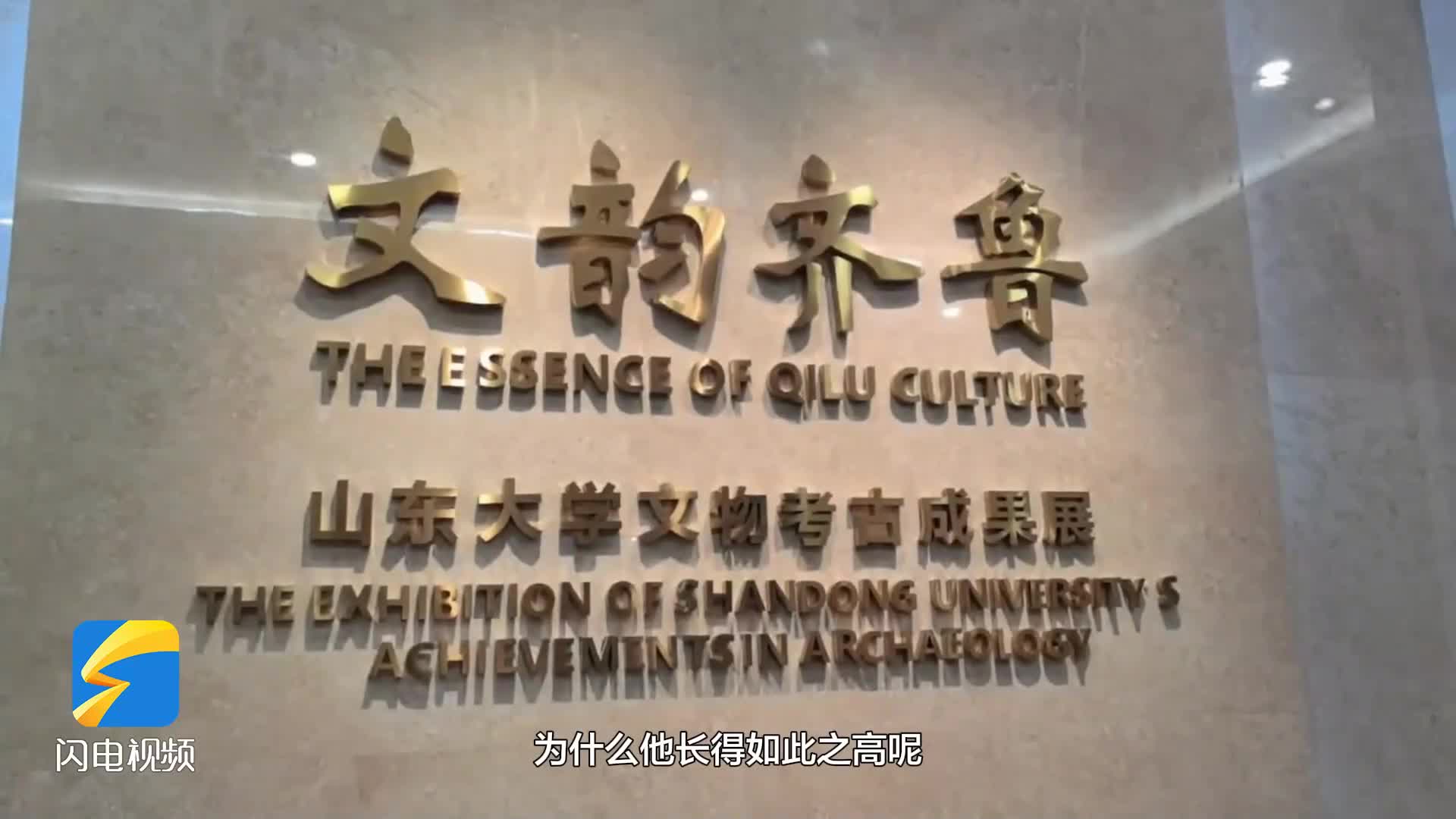 打卡山东大学博物馆 走进灿烂的海岱文化