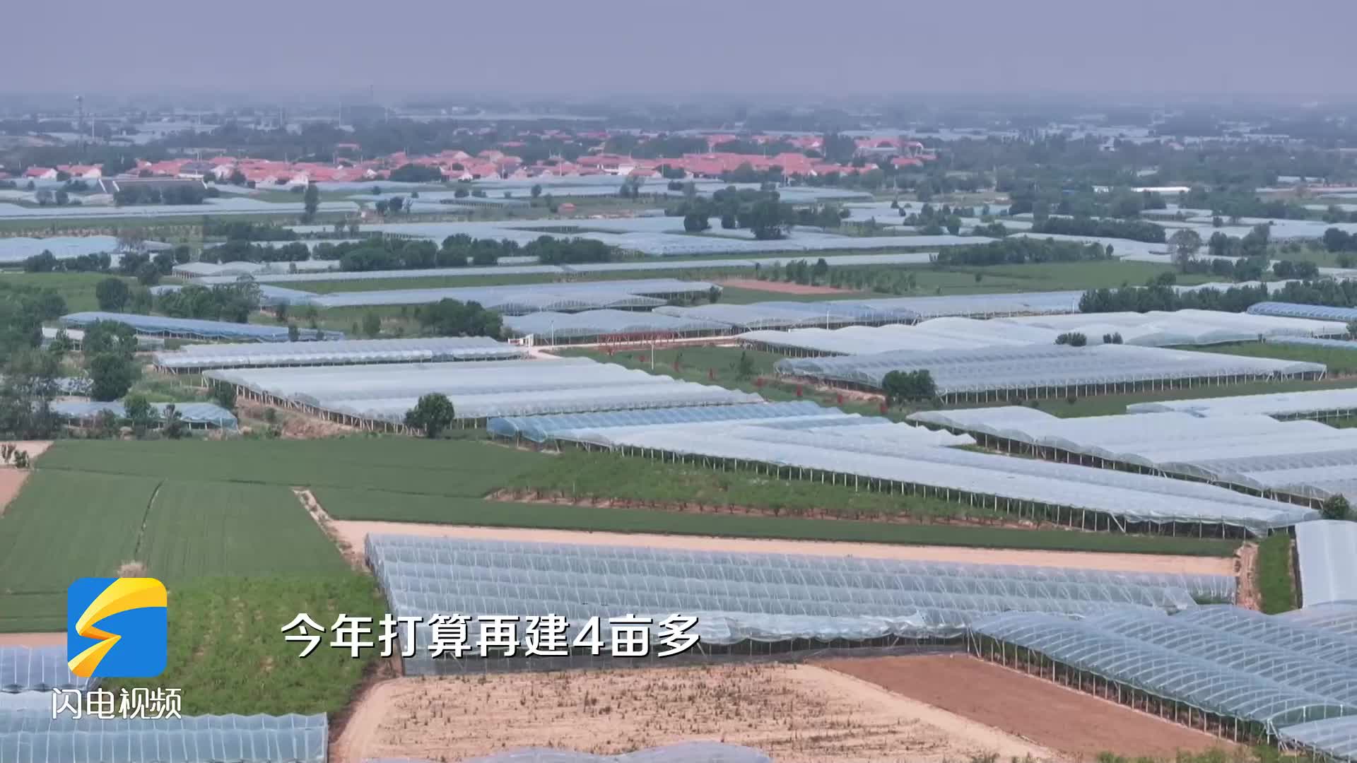 沾化：設(shè)施與品種雙輪驅(qū)動 跑出冬棗產(chǎn)業(yè)加速度