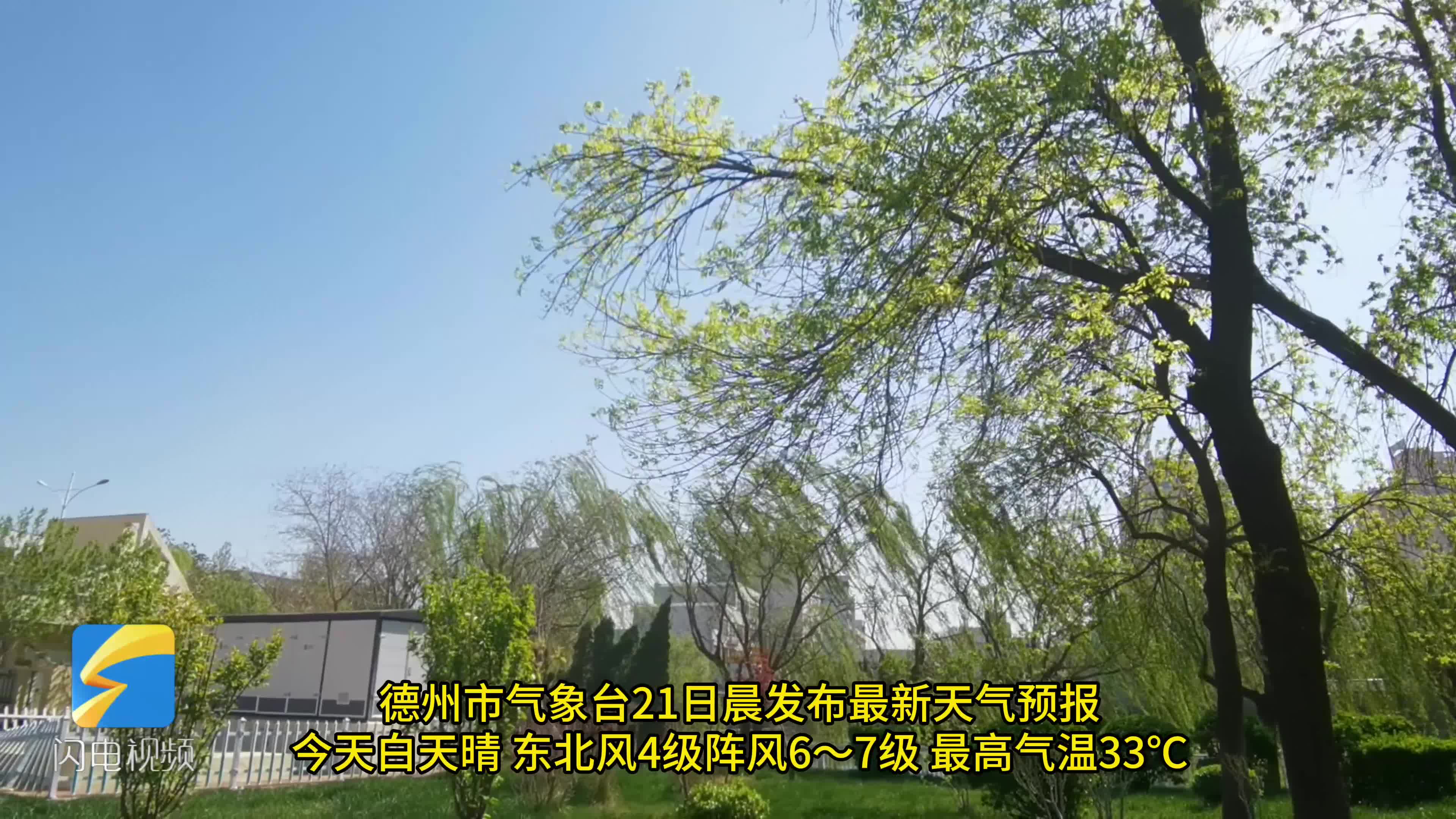 齐河天气天气大全