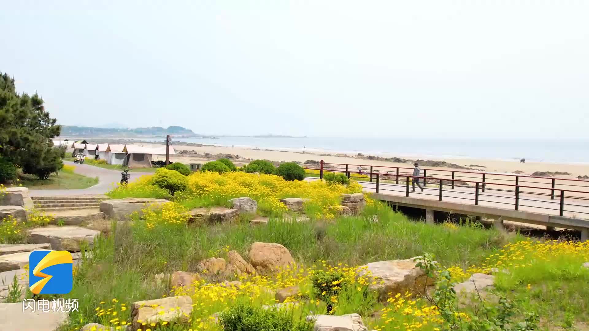 ​鲜花+大海才是初夏最美的风景！沿着青岛西海岸环岛路出发