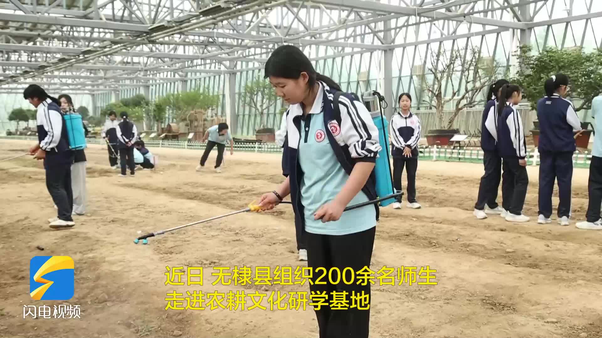 無棣：教學(xué)與實踐共舞 奏響青少年成長樂章
