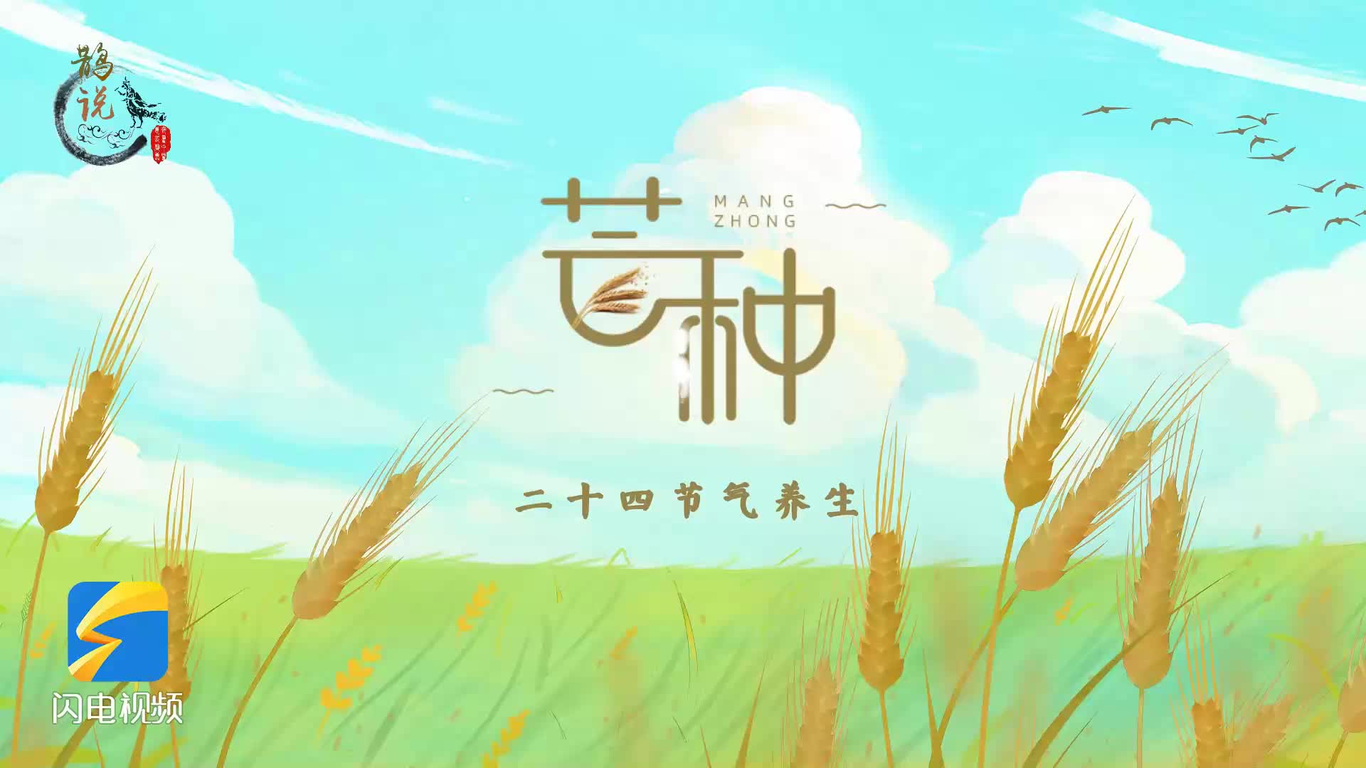 【鹊说中医】二十四节气养生之芒种