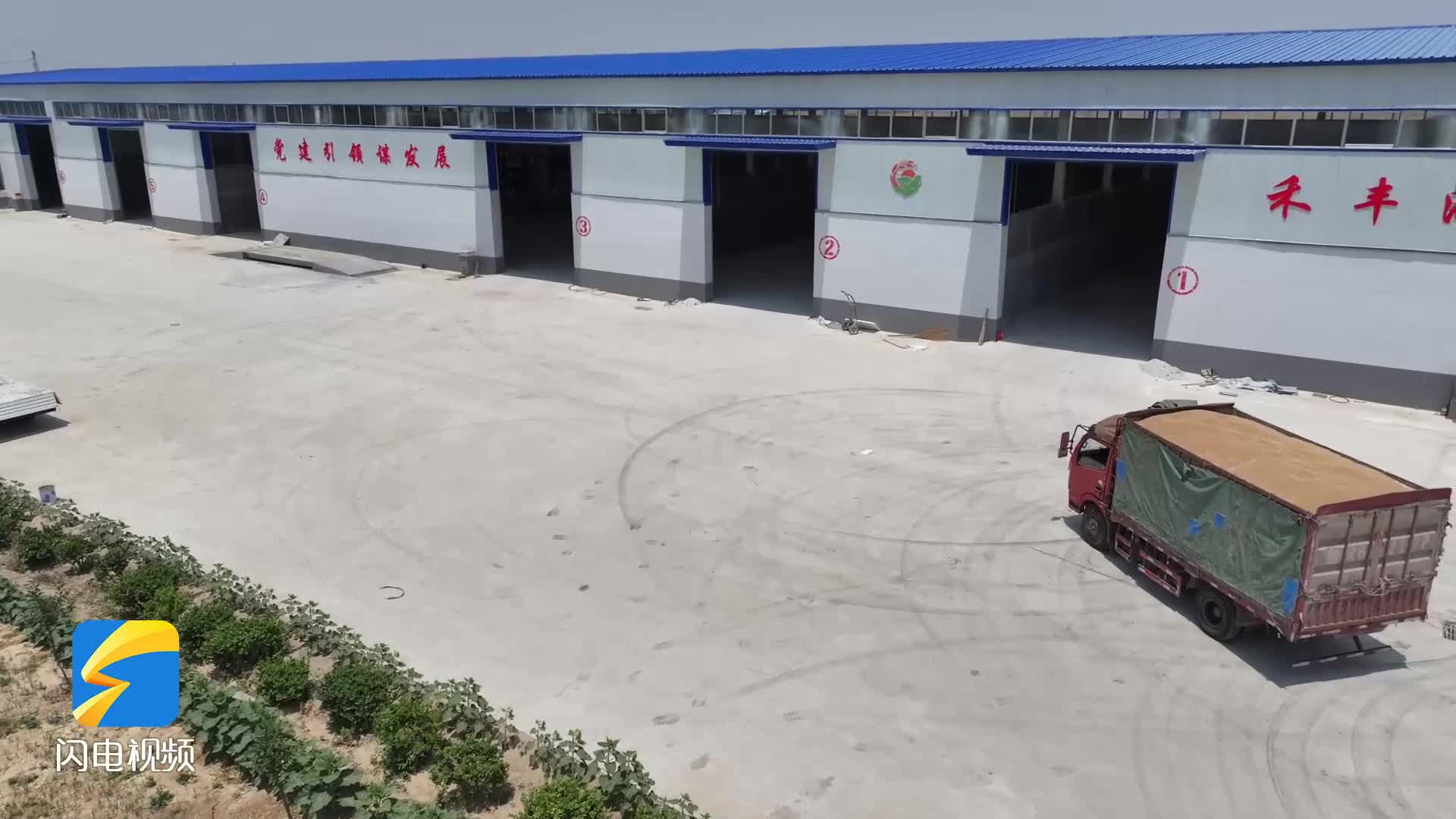 郓城：144万亩小麦开镰收割 多措并举确保颗粒归仓