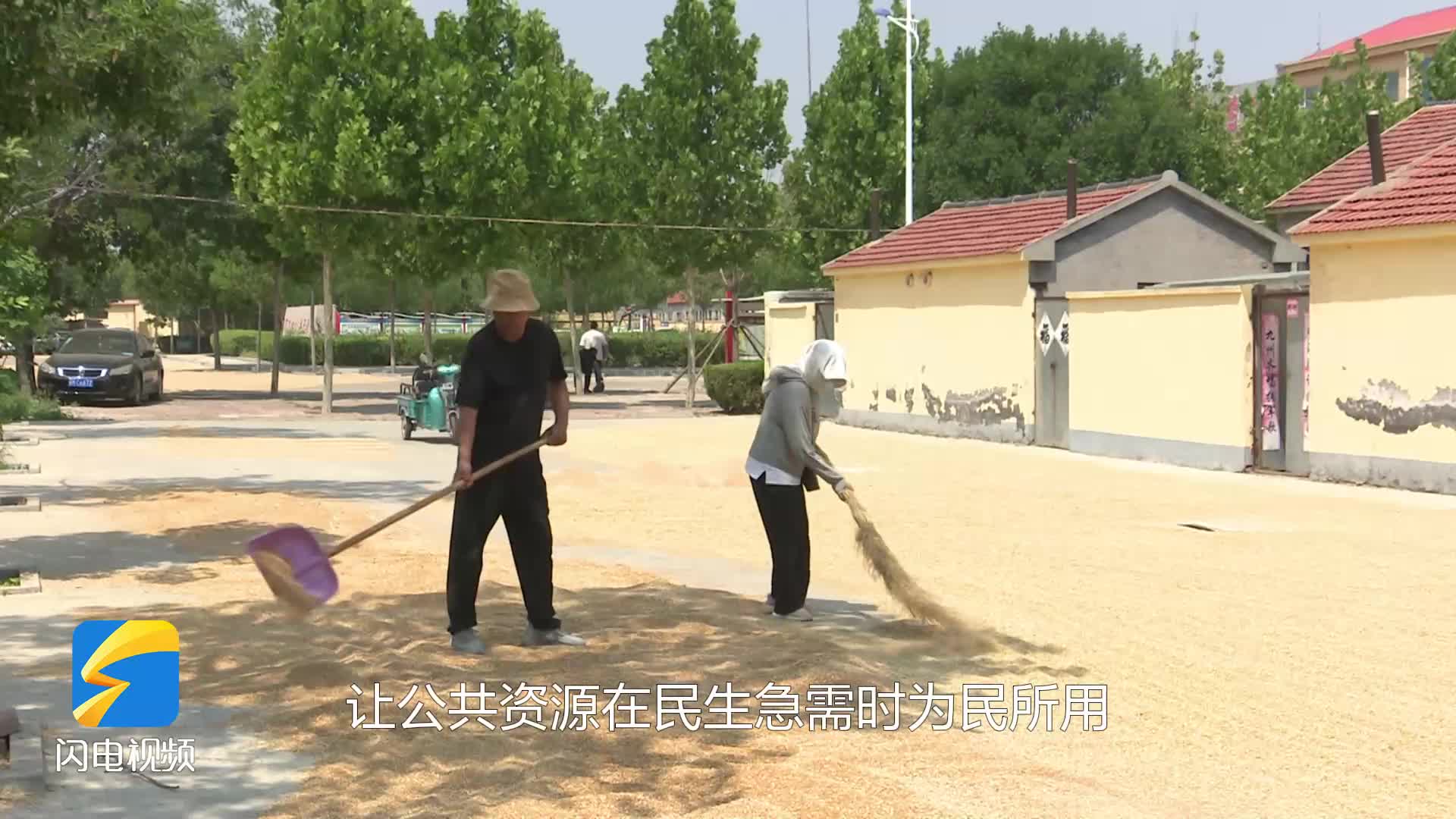 無棣：公共場地變身曬糧場 解民“曬”憂暖人心
