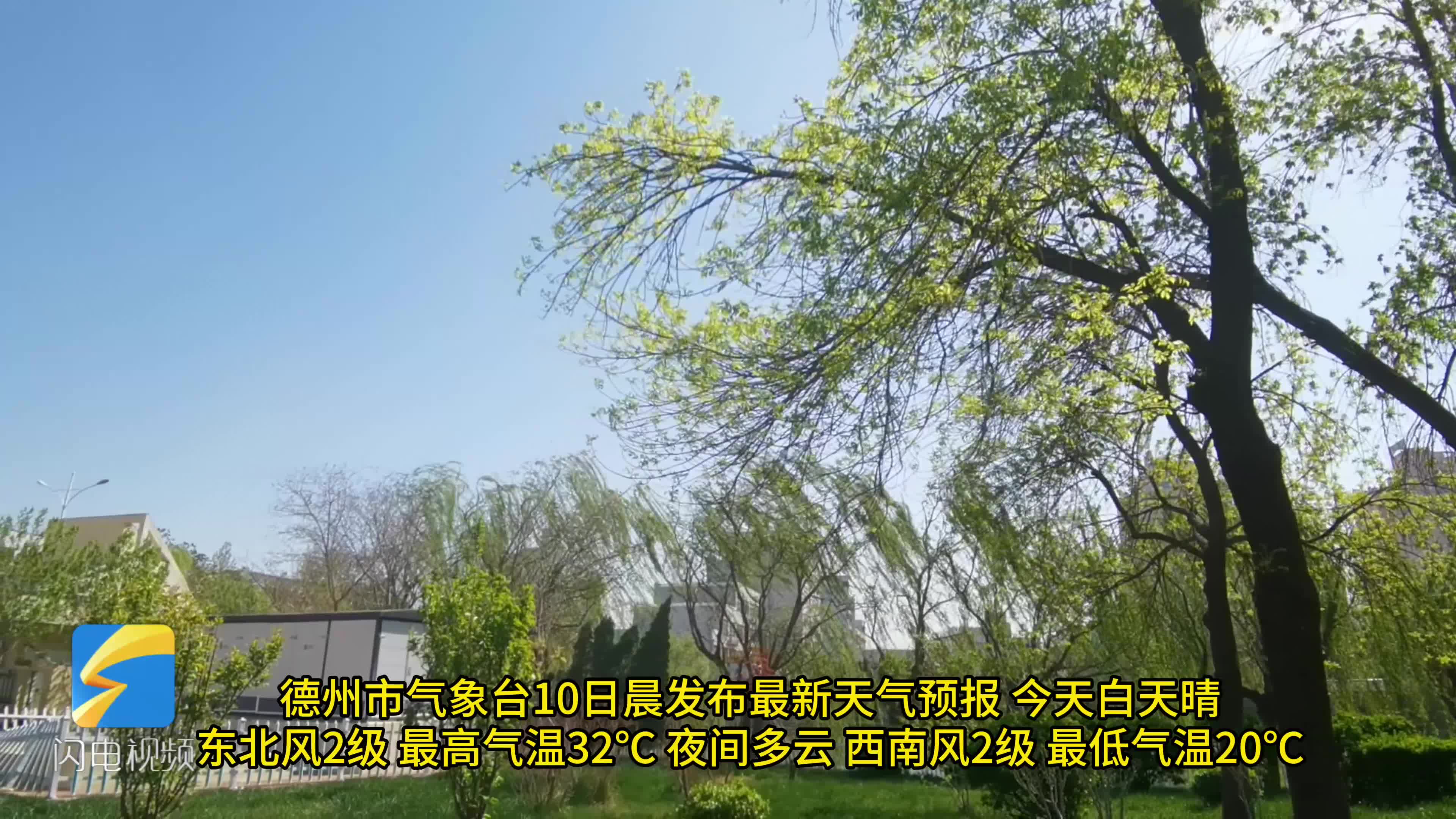 德州德州天气预报