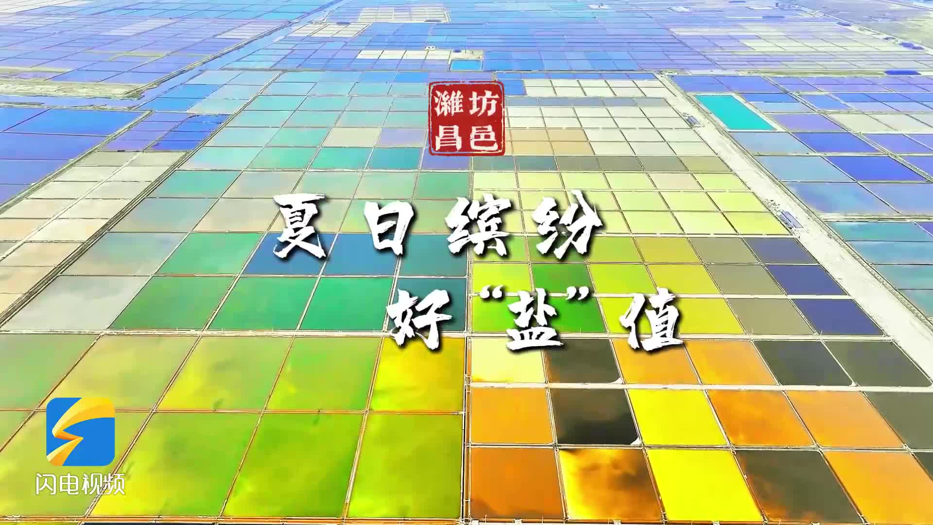 潍坊昌邑：夏日缤纷好“盐”值