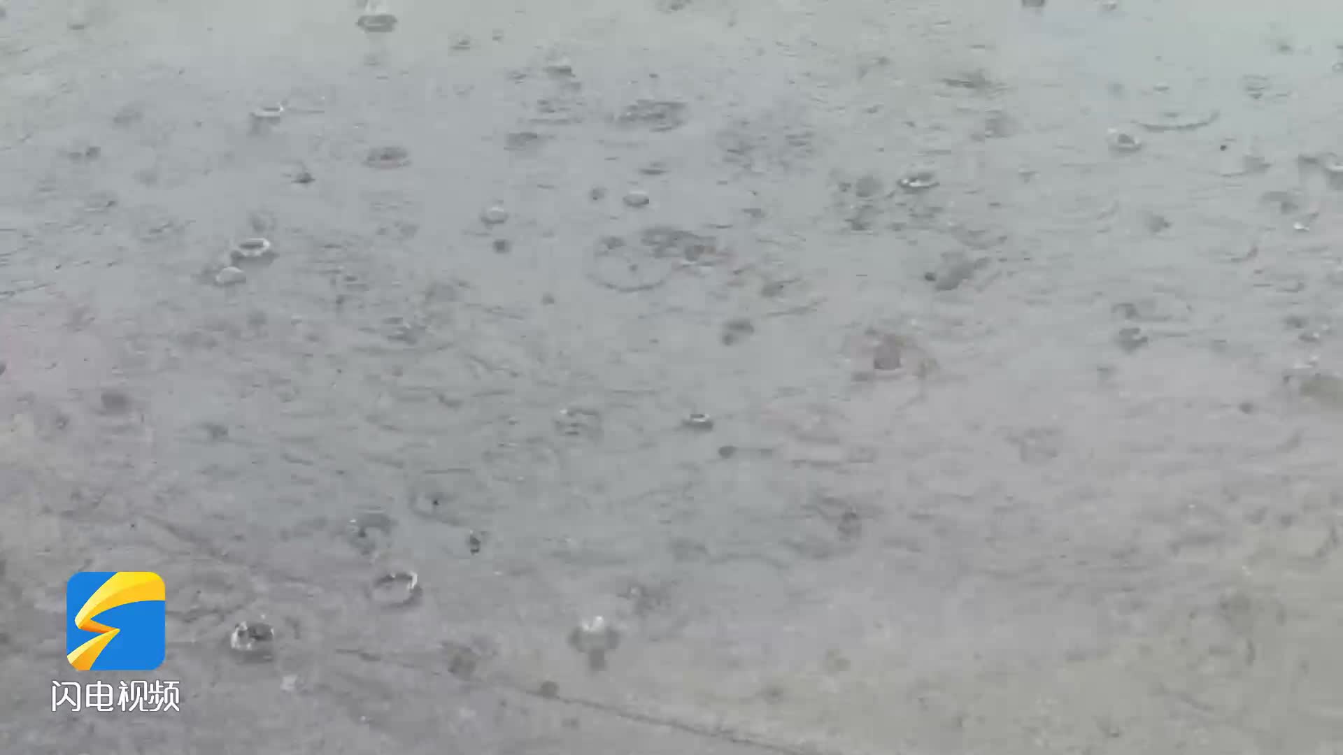 短時強降水+9級風！濟南發布雷雨大風黃色預警信號 8個區有雷陣雨