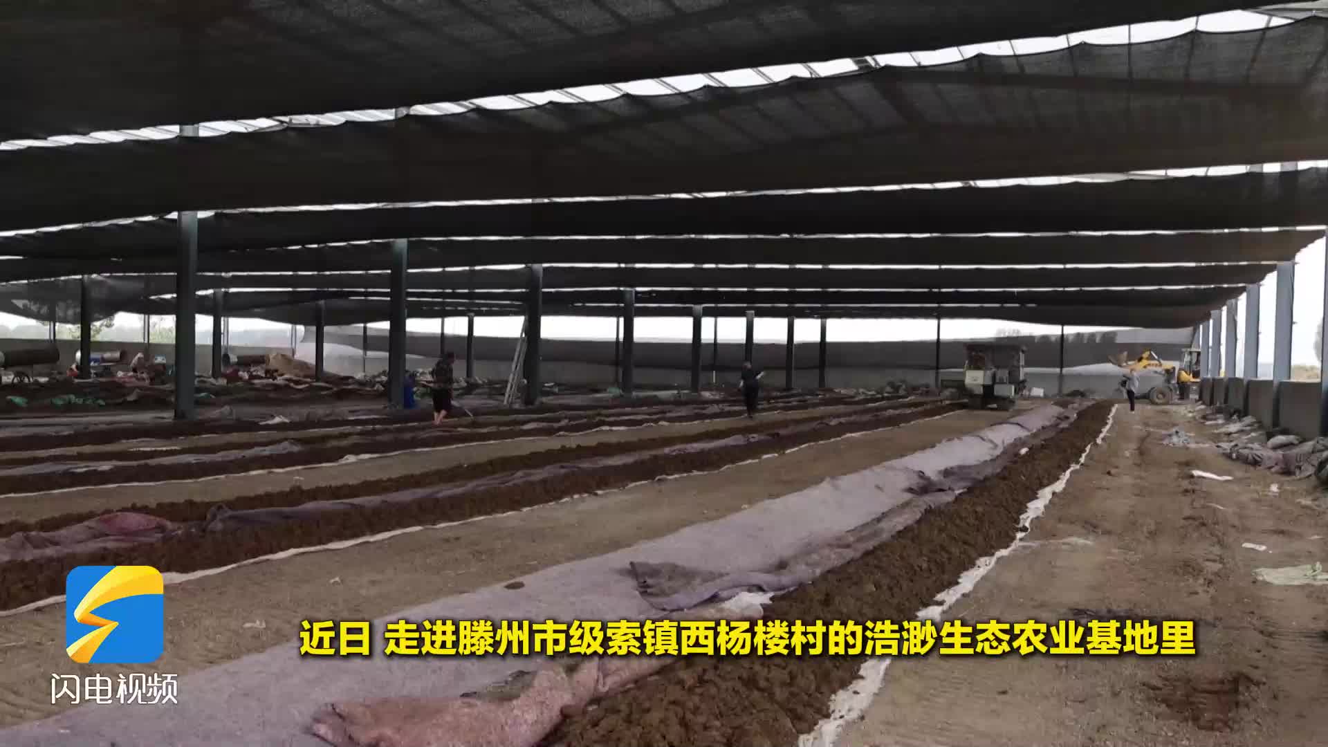 滕州：小蚯蚓“拱”出大产业 乡村振兴“链”起致富经