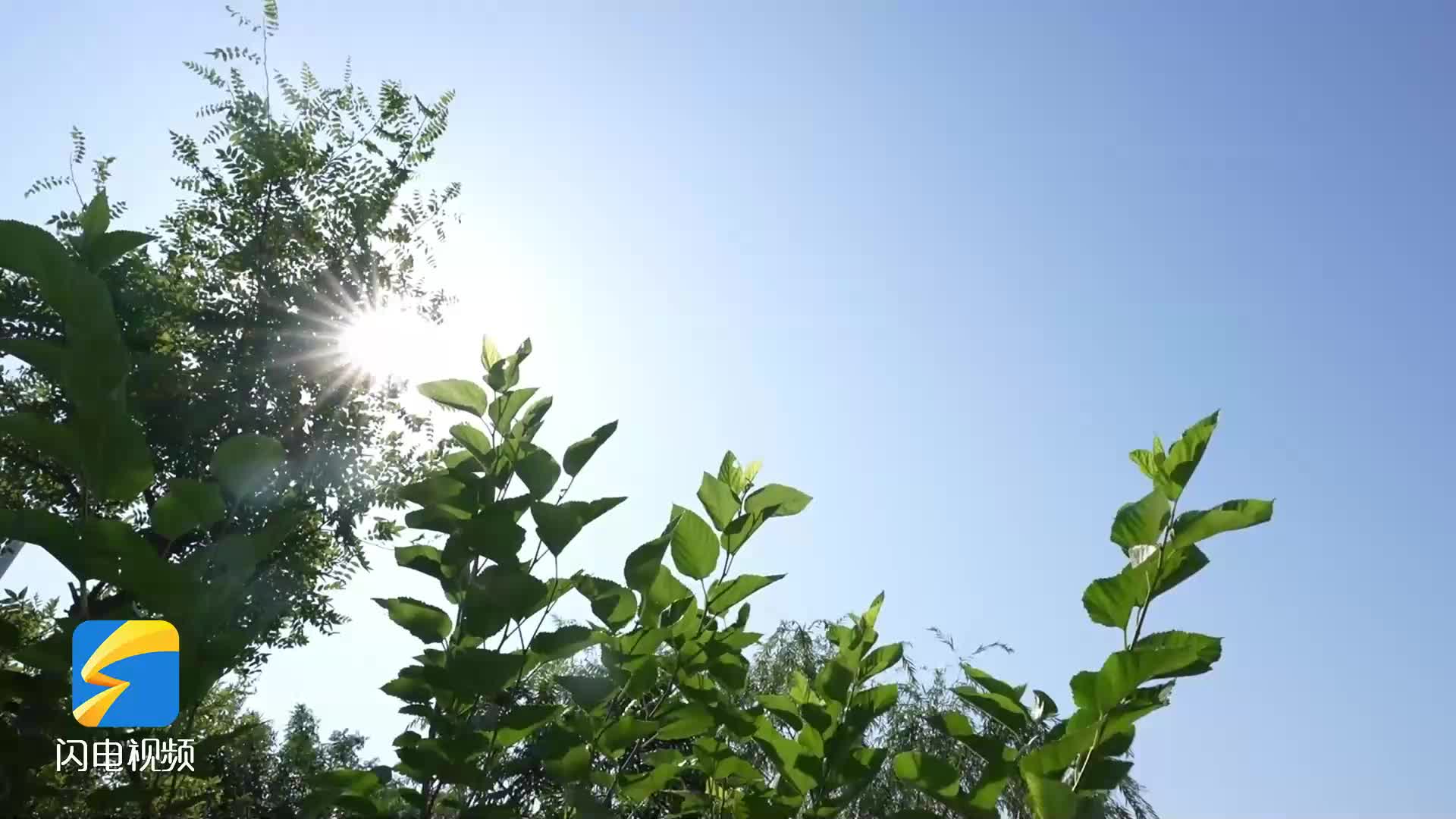悶熱又潮濕 “副高”已控制山東開啟一周“蒸煮”模式