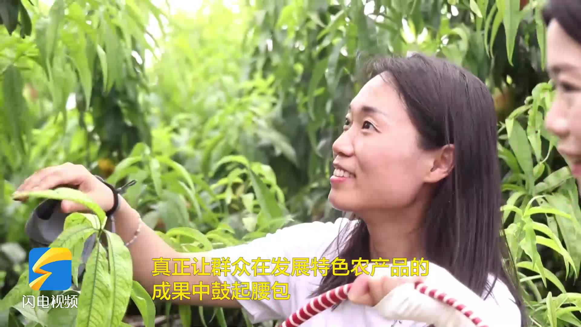 無棣：叫響“甜蜜”鄉村土特產 讓群眾鼓起錢袋子