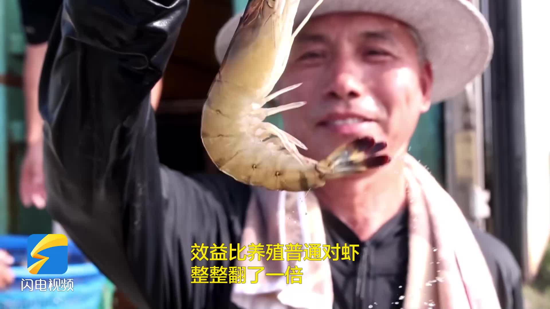 無棣：科技賦能對蝦養殖 提收益助力鄉村振興